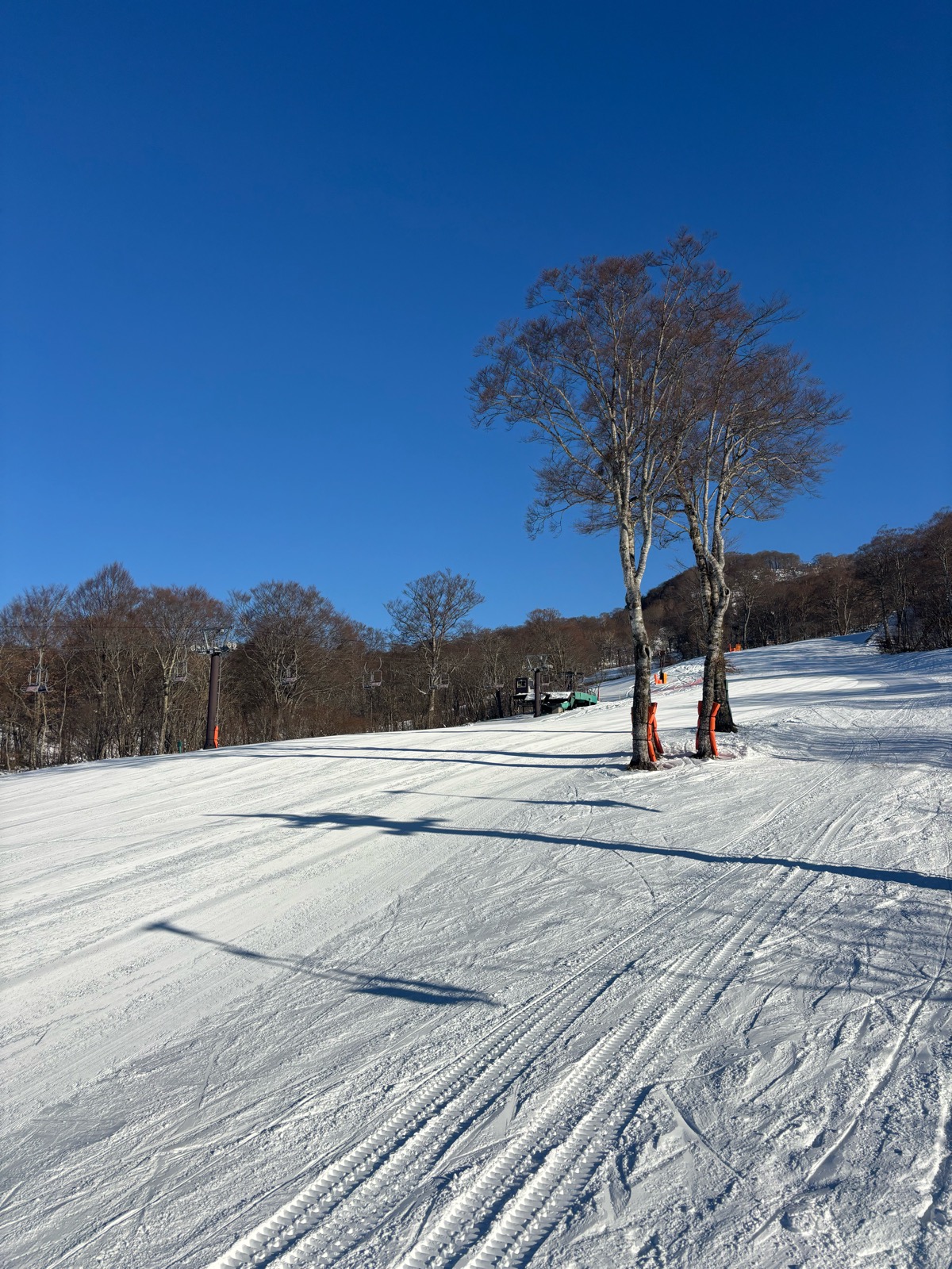 たんばらスキーパーク