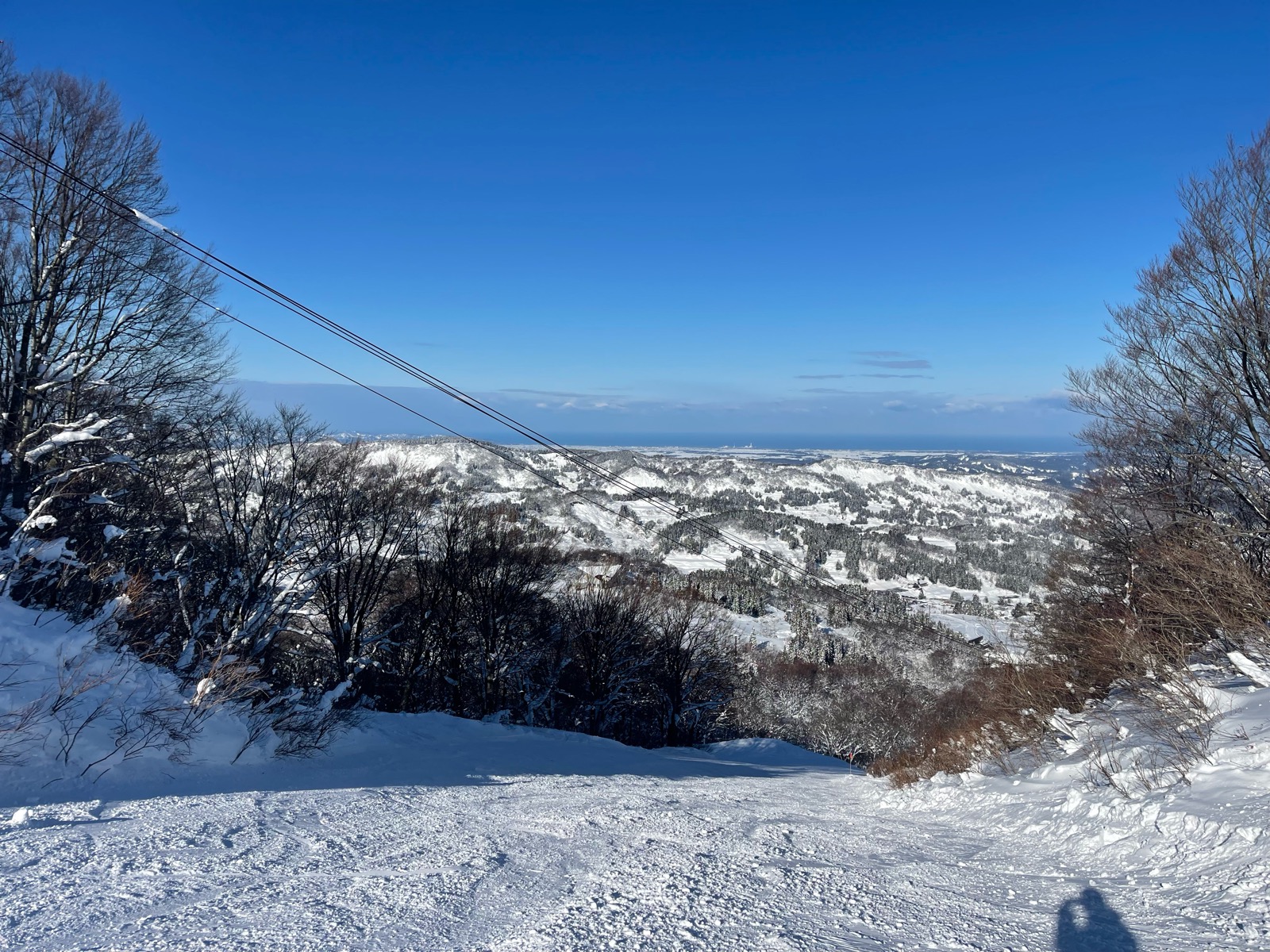 キューピットバレイ