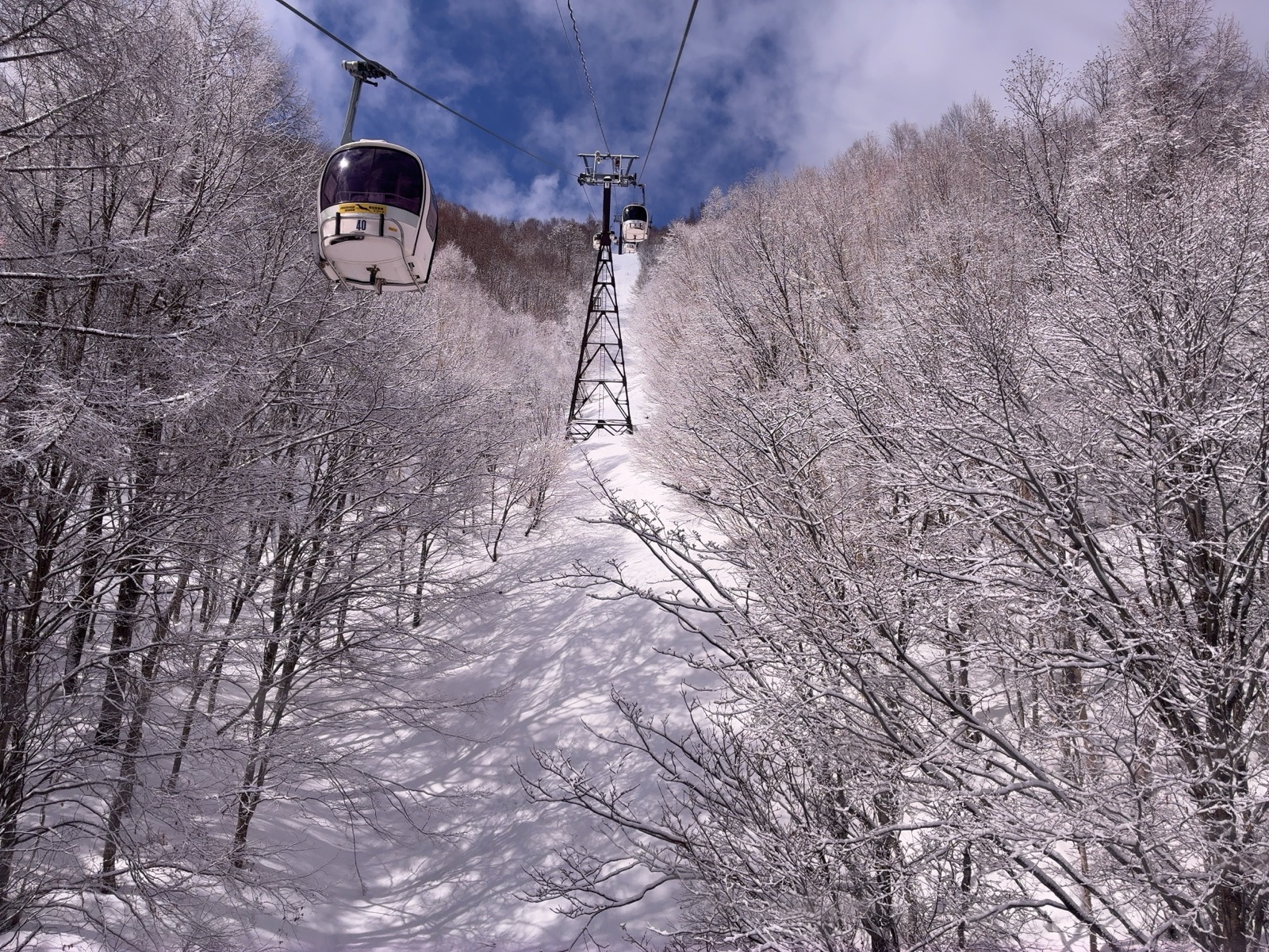 志賀高原 ジャイアント、西館山