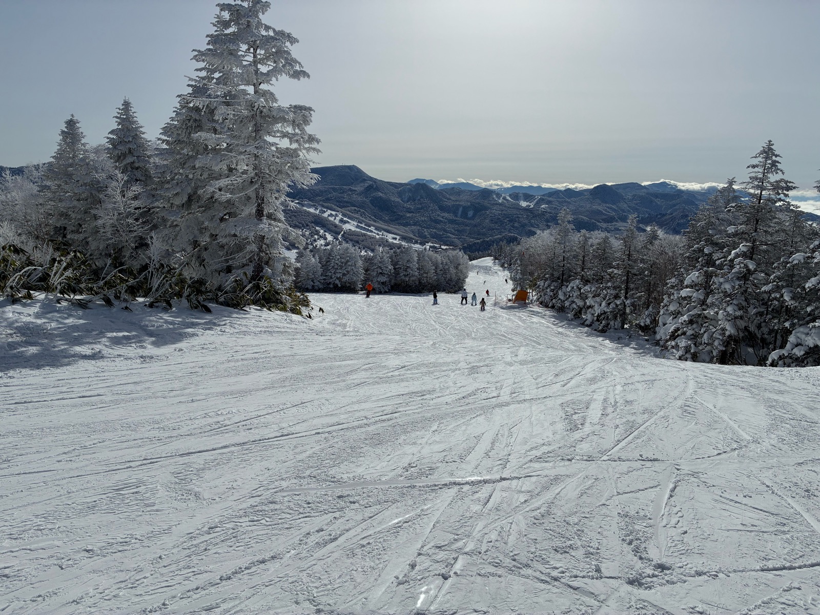 志賀高原 焼額山スキー場