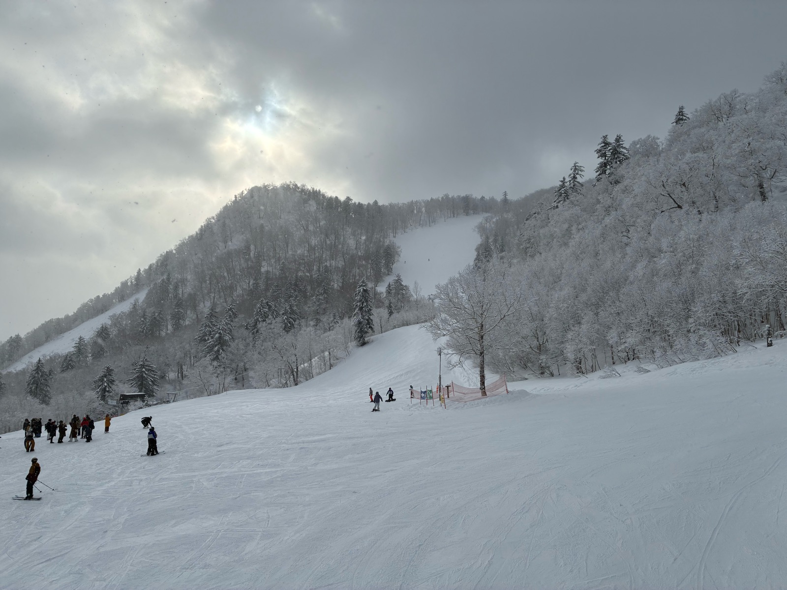 富良野スキー場