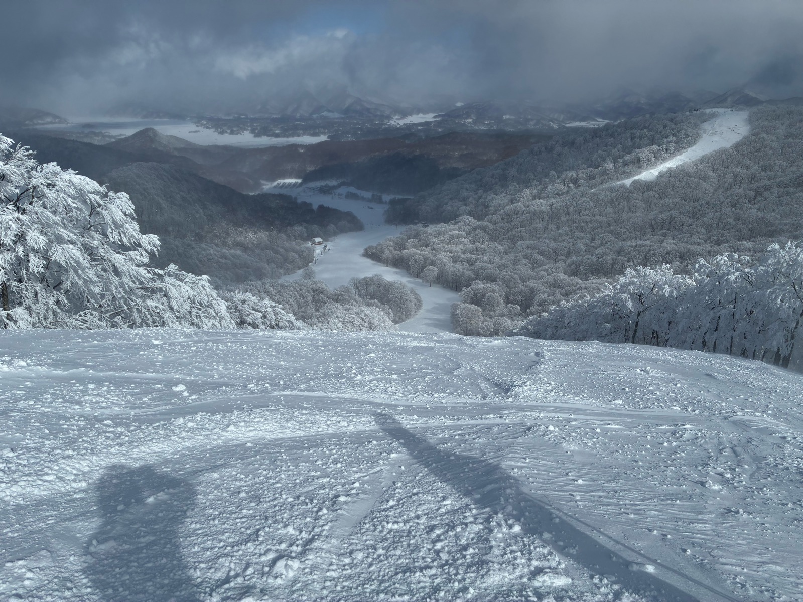 星野リゾート ネコマ マウンテン（南エリア）