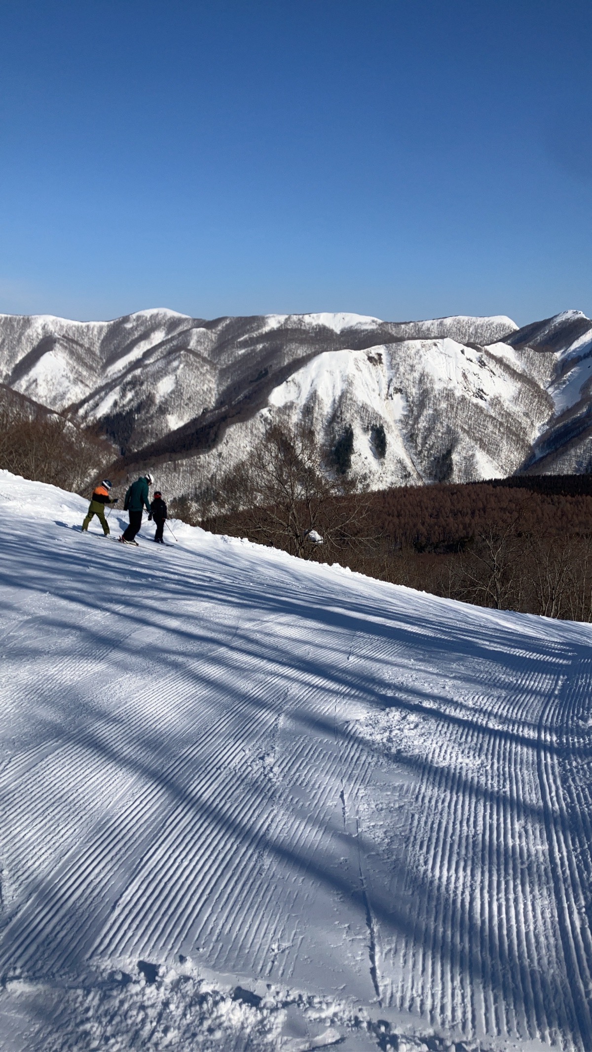 黒伏高原スノーパーク ジャングル・ジャングル