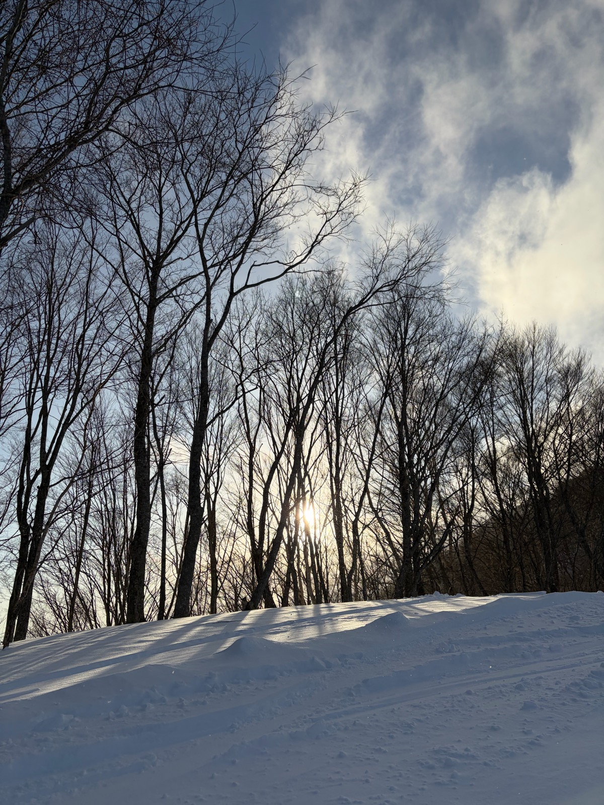 ホワイトワールド尾瀬岩鞍
