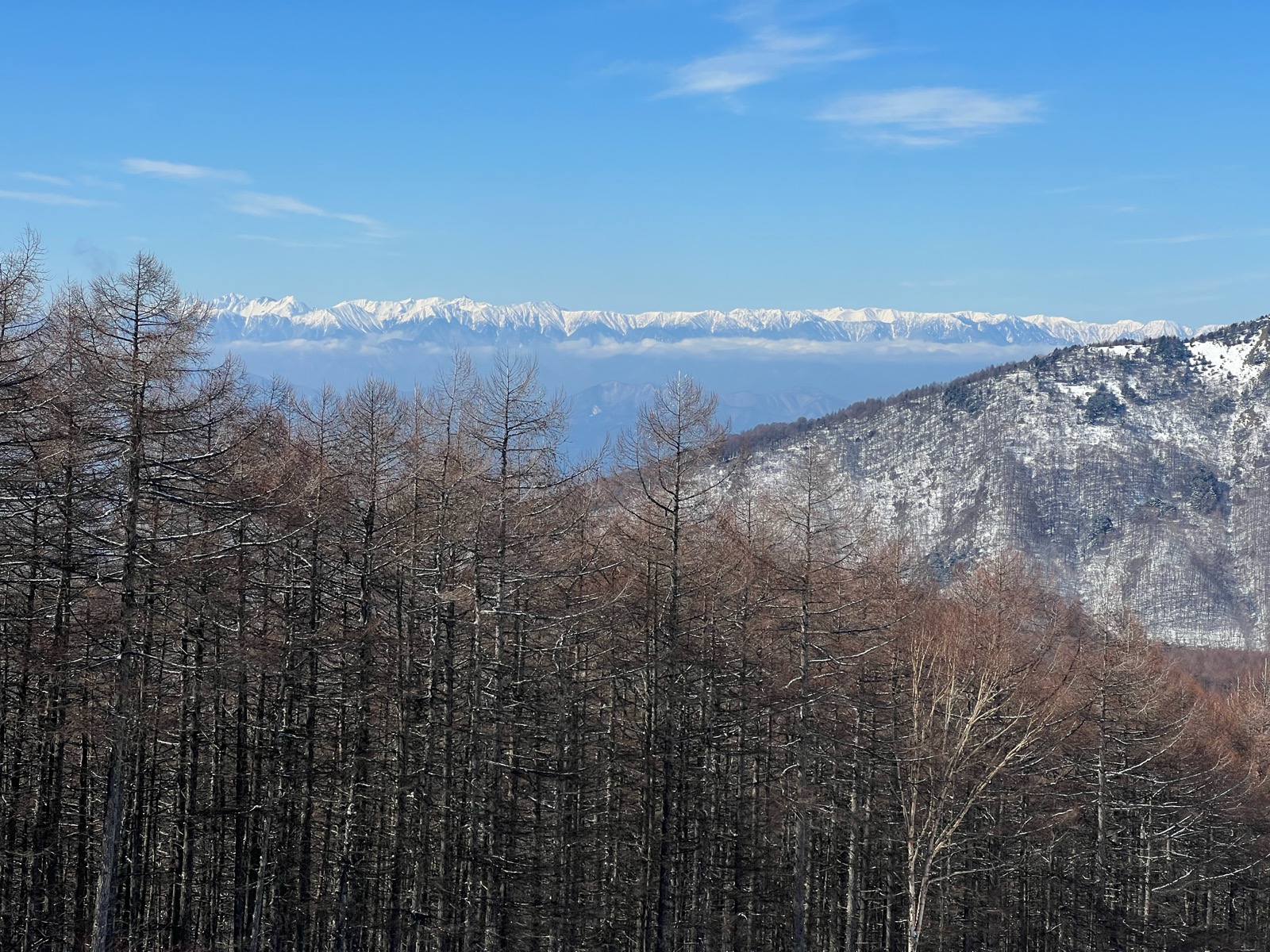 池の平温泉 アルペンブリック