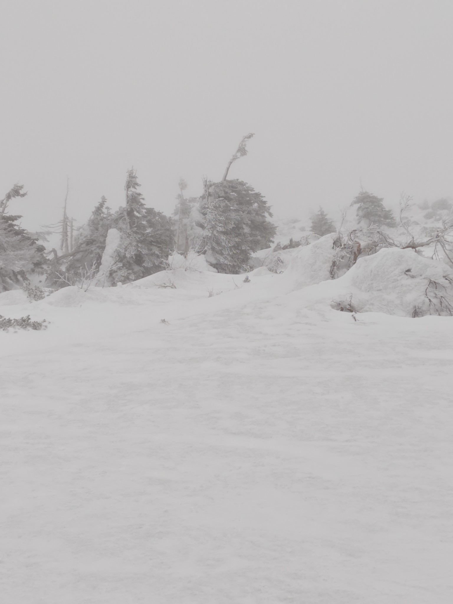 蔵王温泉スキー場