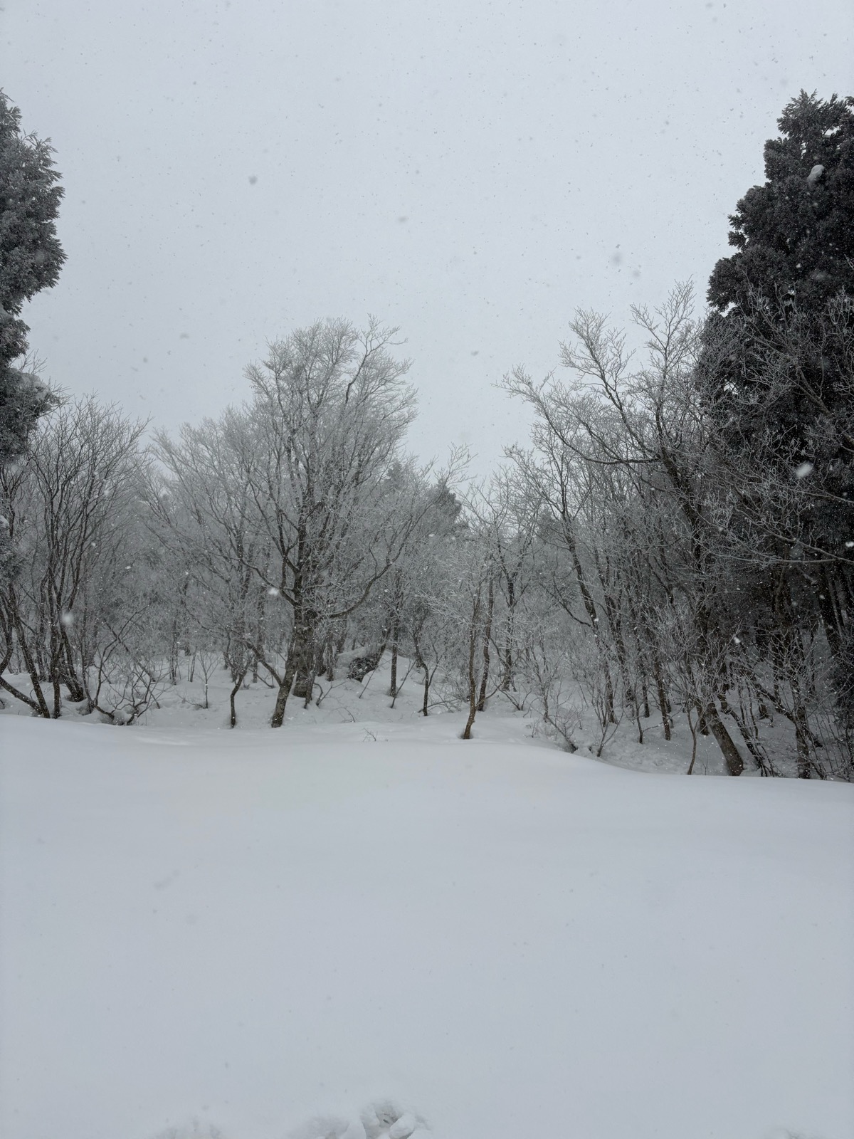 恐羅漢スノーパーク