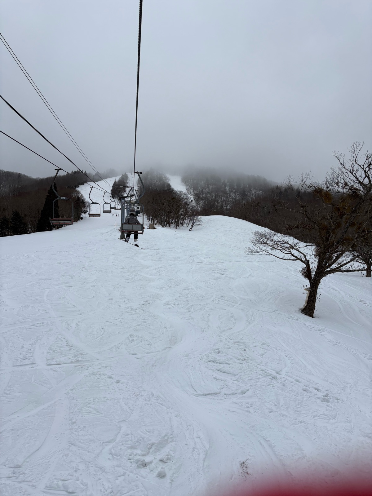 恐羅漢スノーパーク