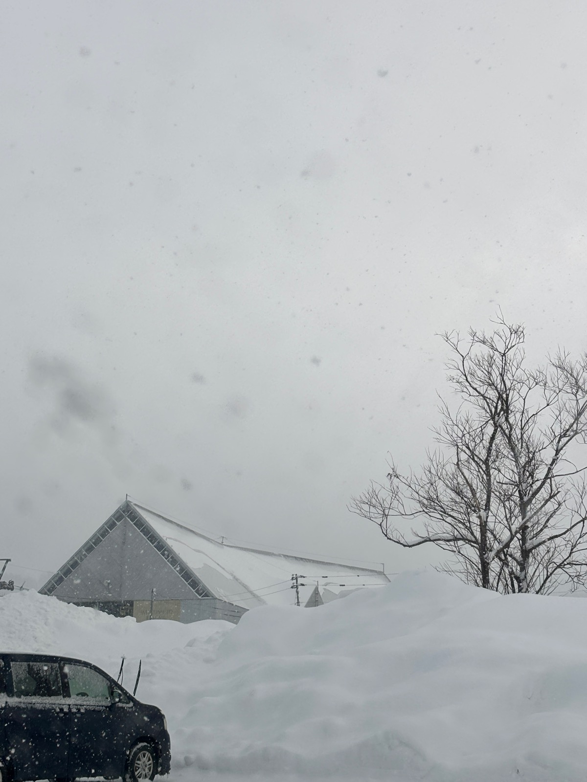 ルスツリゾート