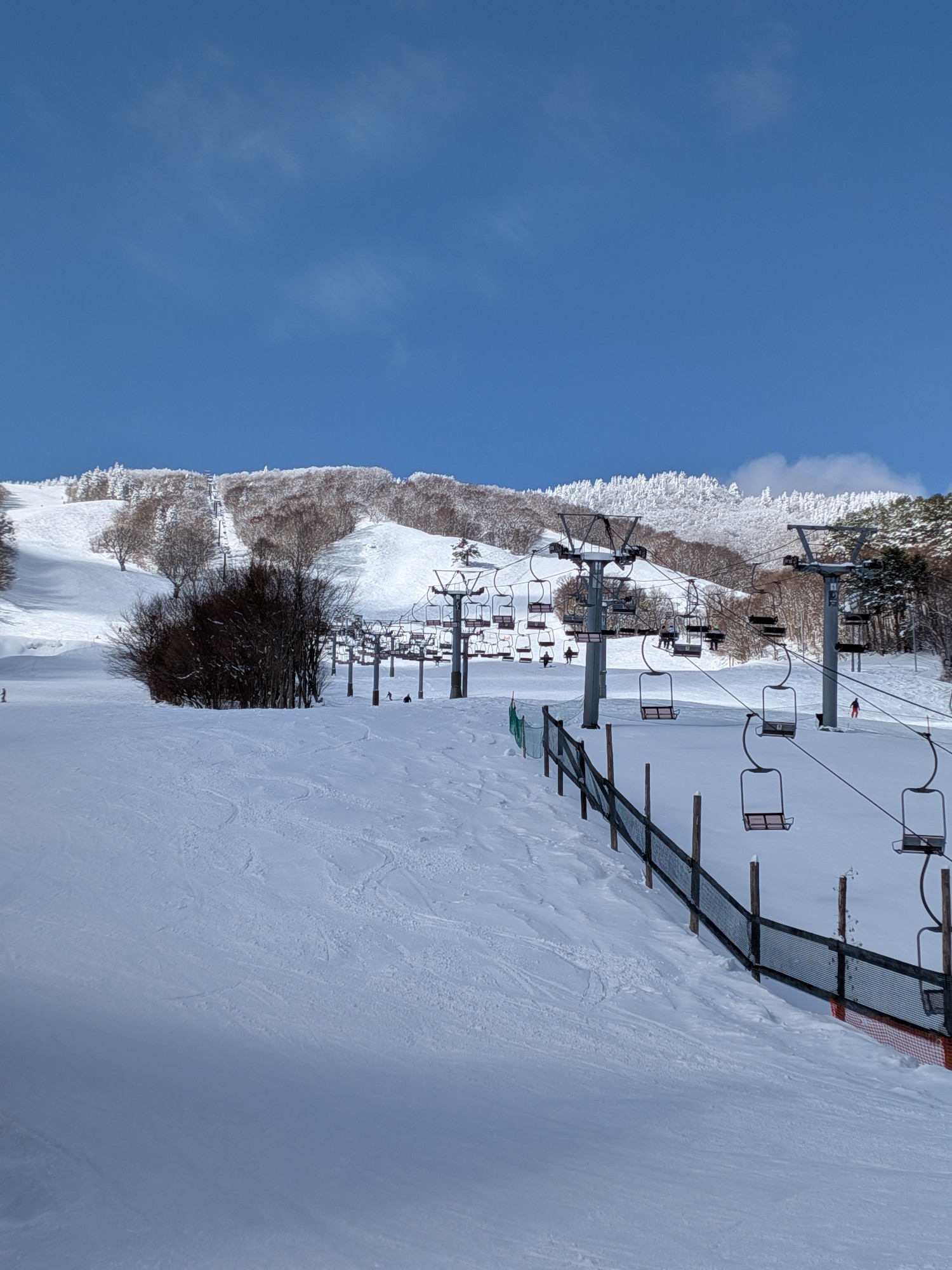 恐羅漢スノーパーク