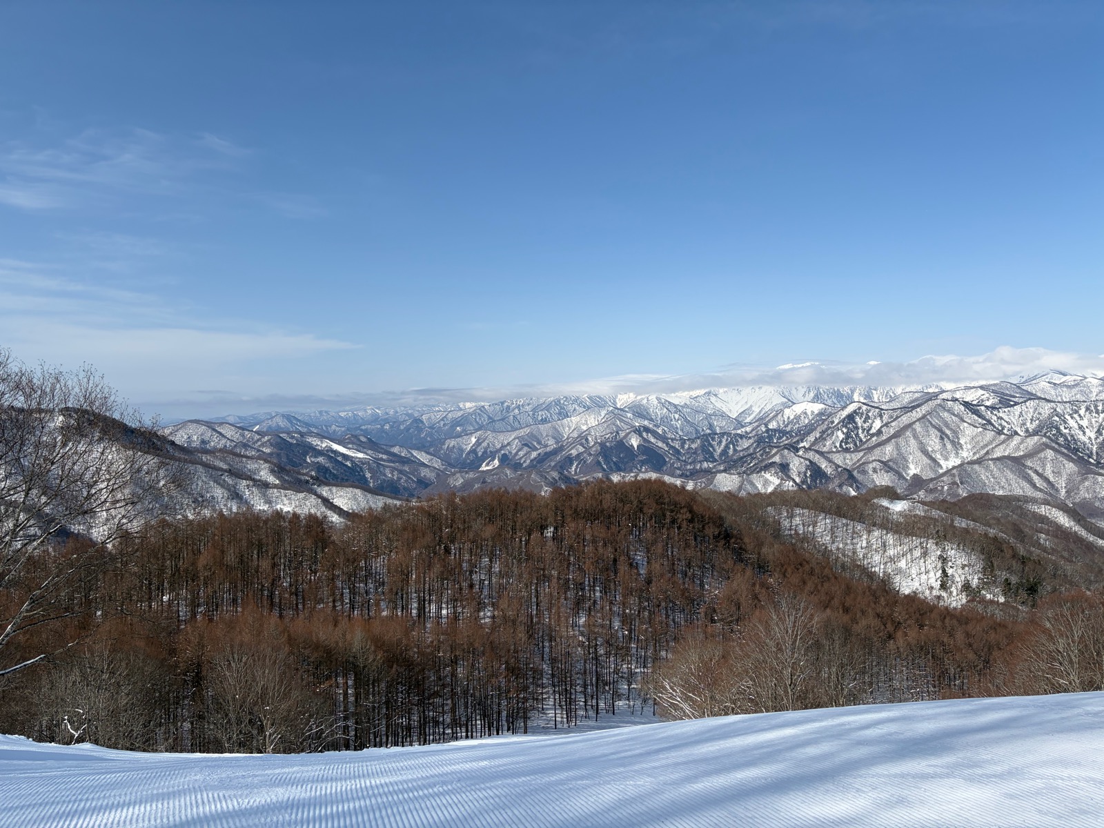群馬みなかみ ほうだいぎ