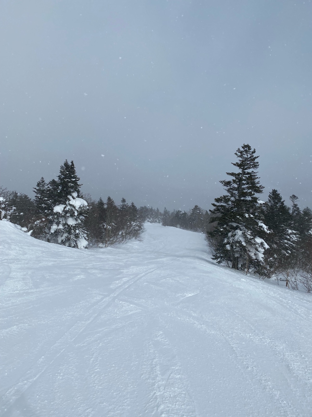 みやぎ蔵王えぼし