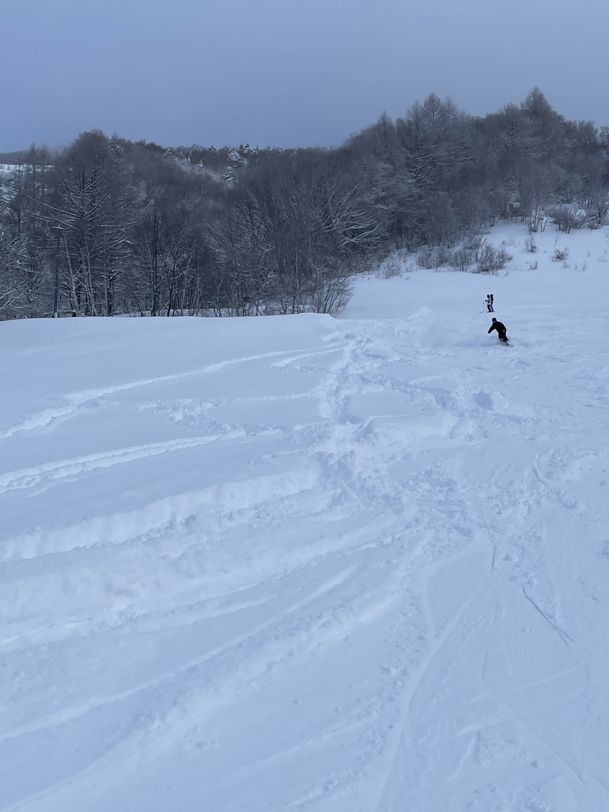 志賀高原 発哺ブナ平、東館山スキー場
