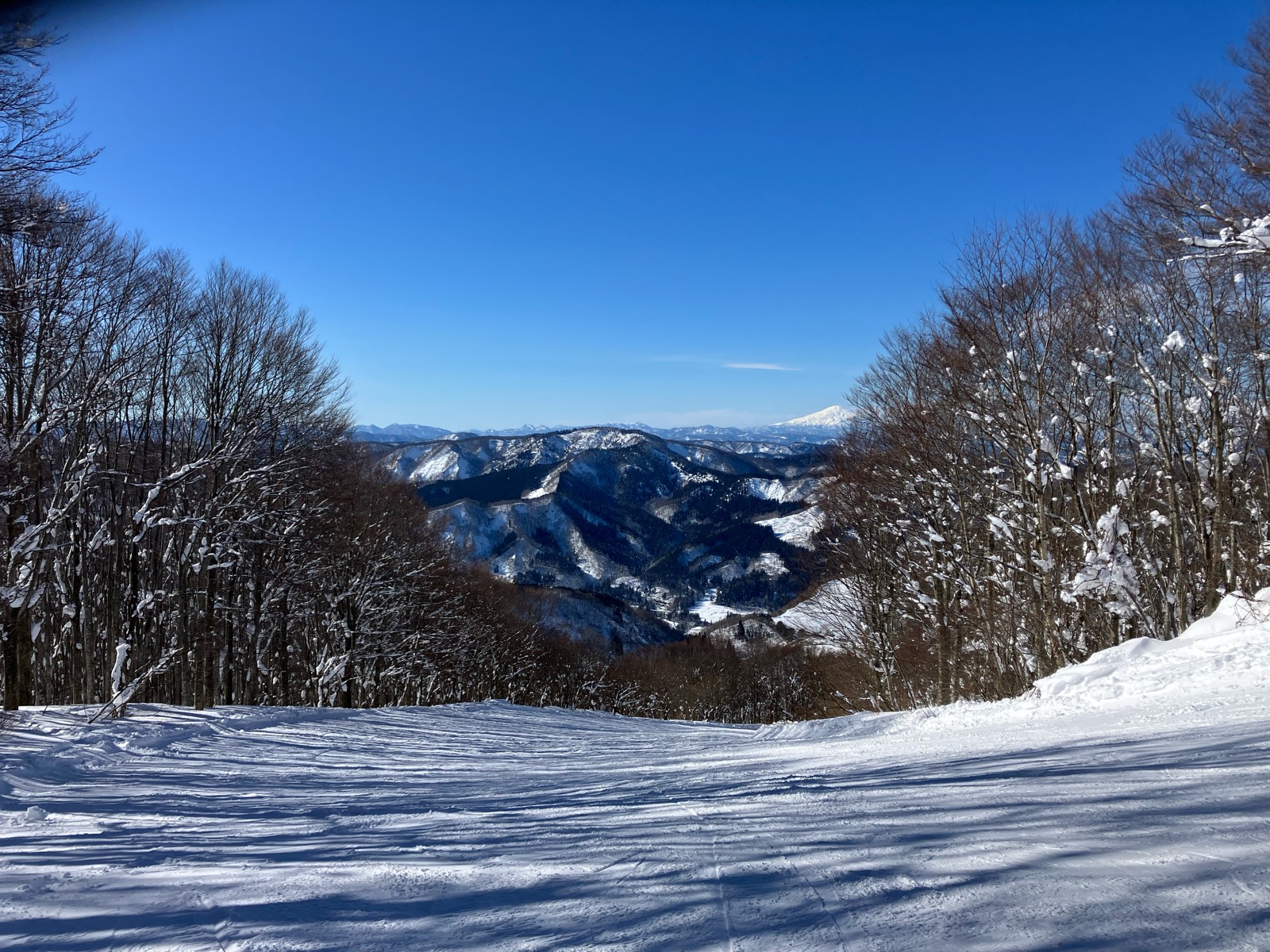 ジュネス栗駒スキー場