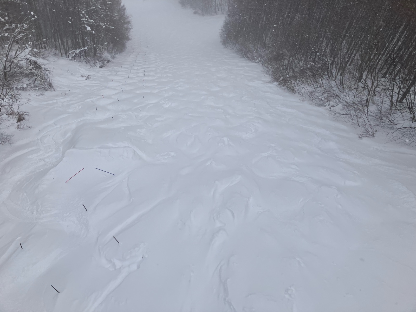 会津高原たかつえ