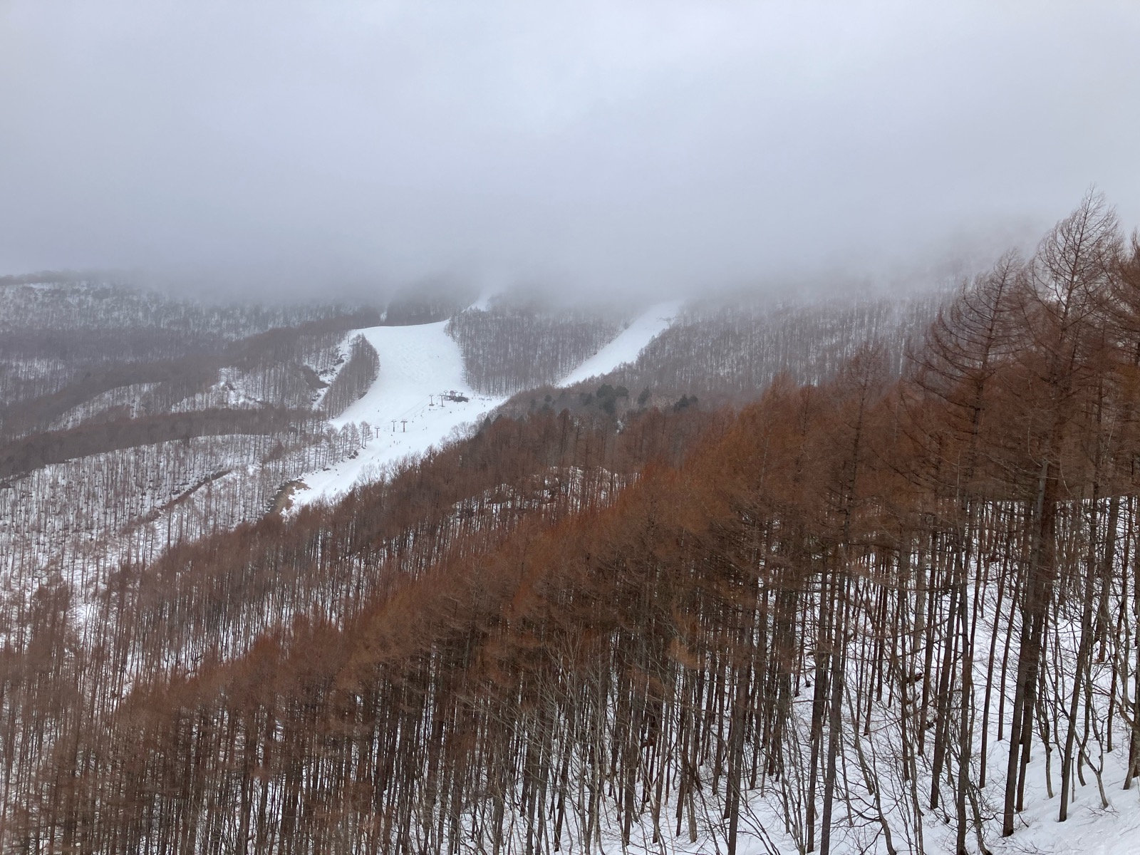 会津高原たかつえ