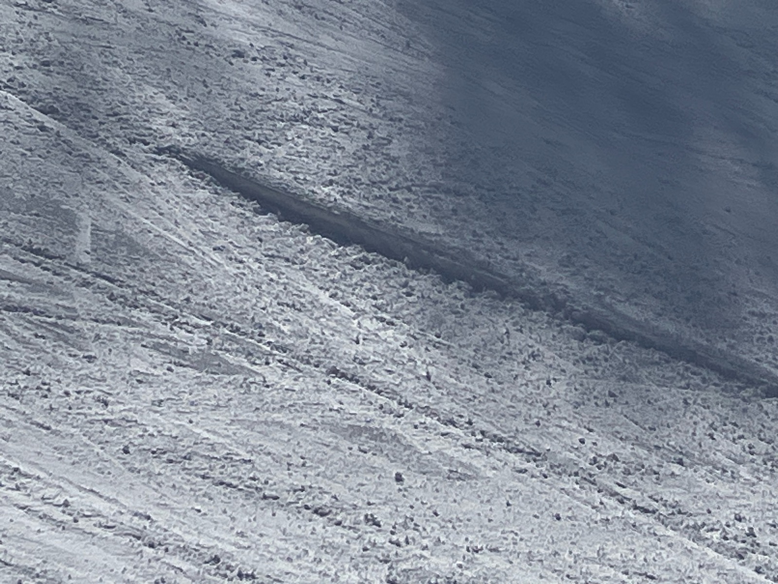 会津高原たかつえ