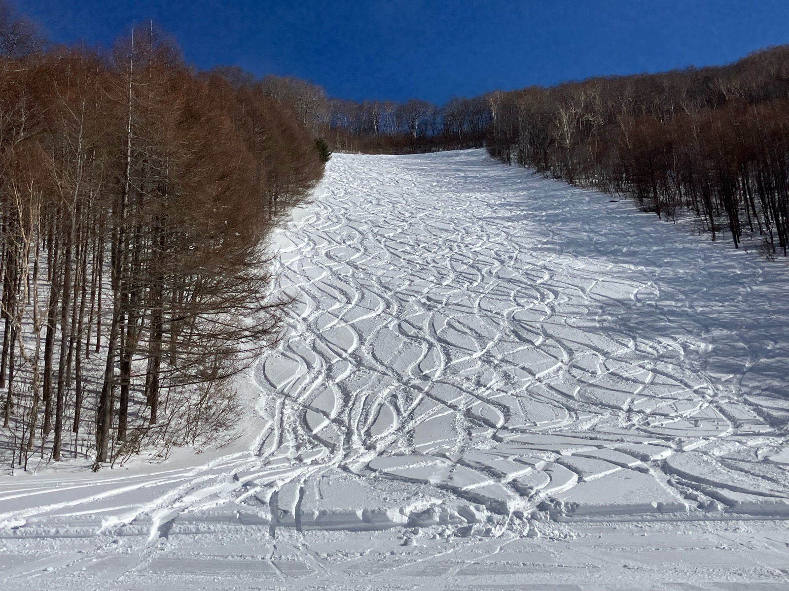 会津高原たかつえスキー場