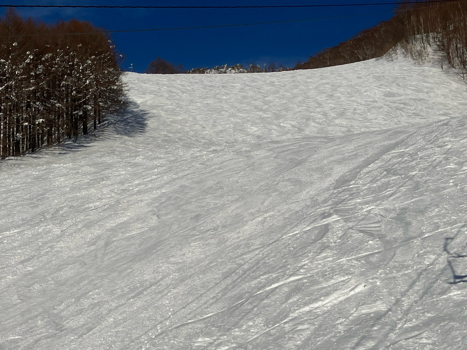 会津高原たかつえ
