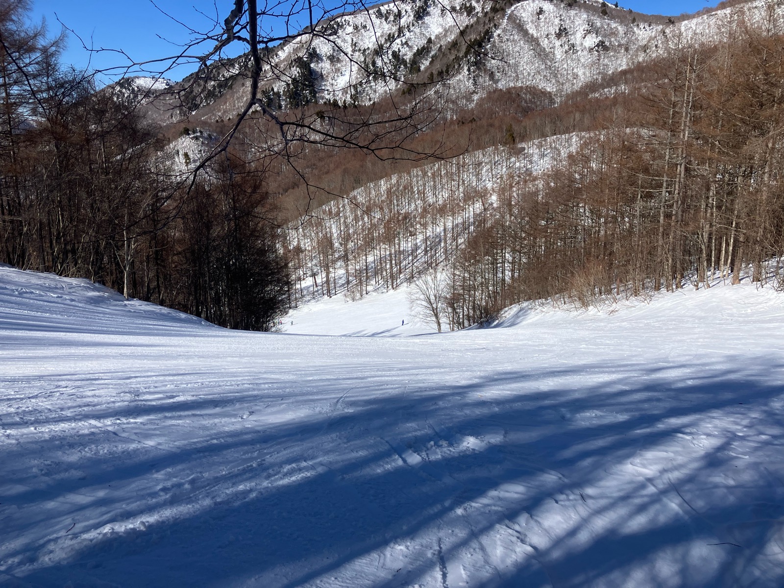 会津高原たかつえ