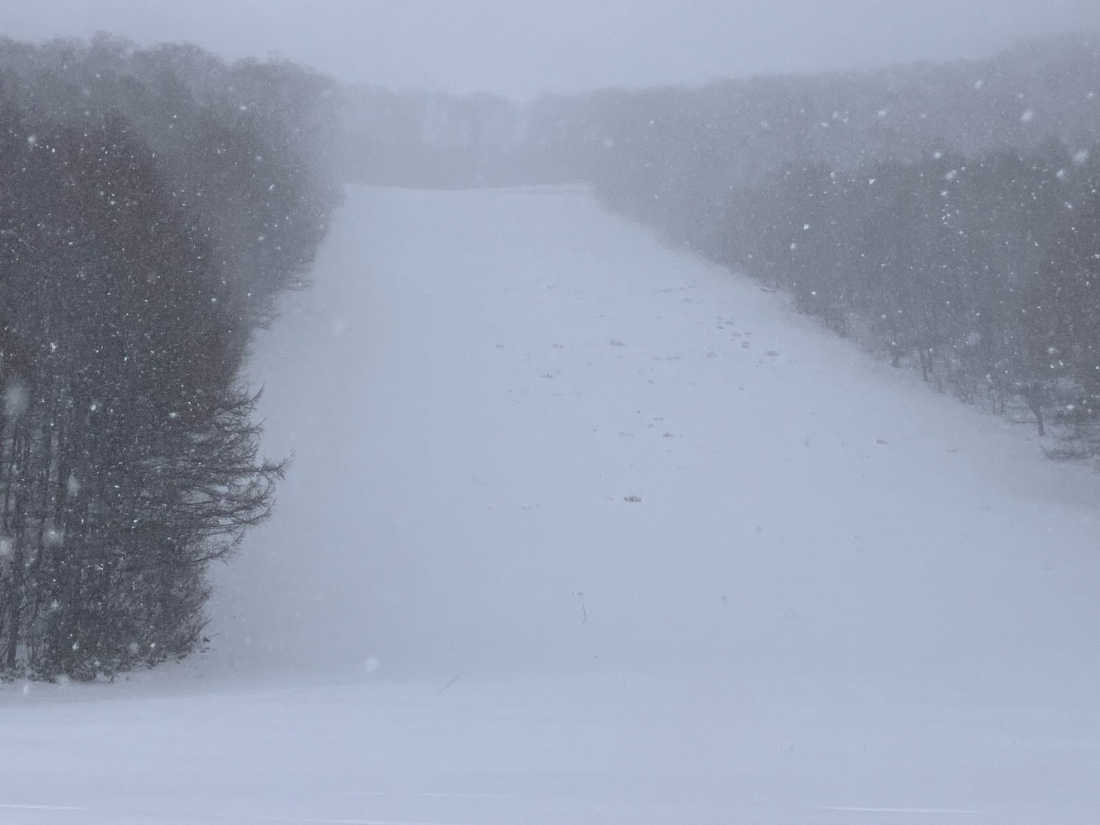 会津高原たかつえスキー場