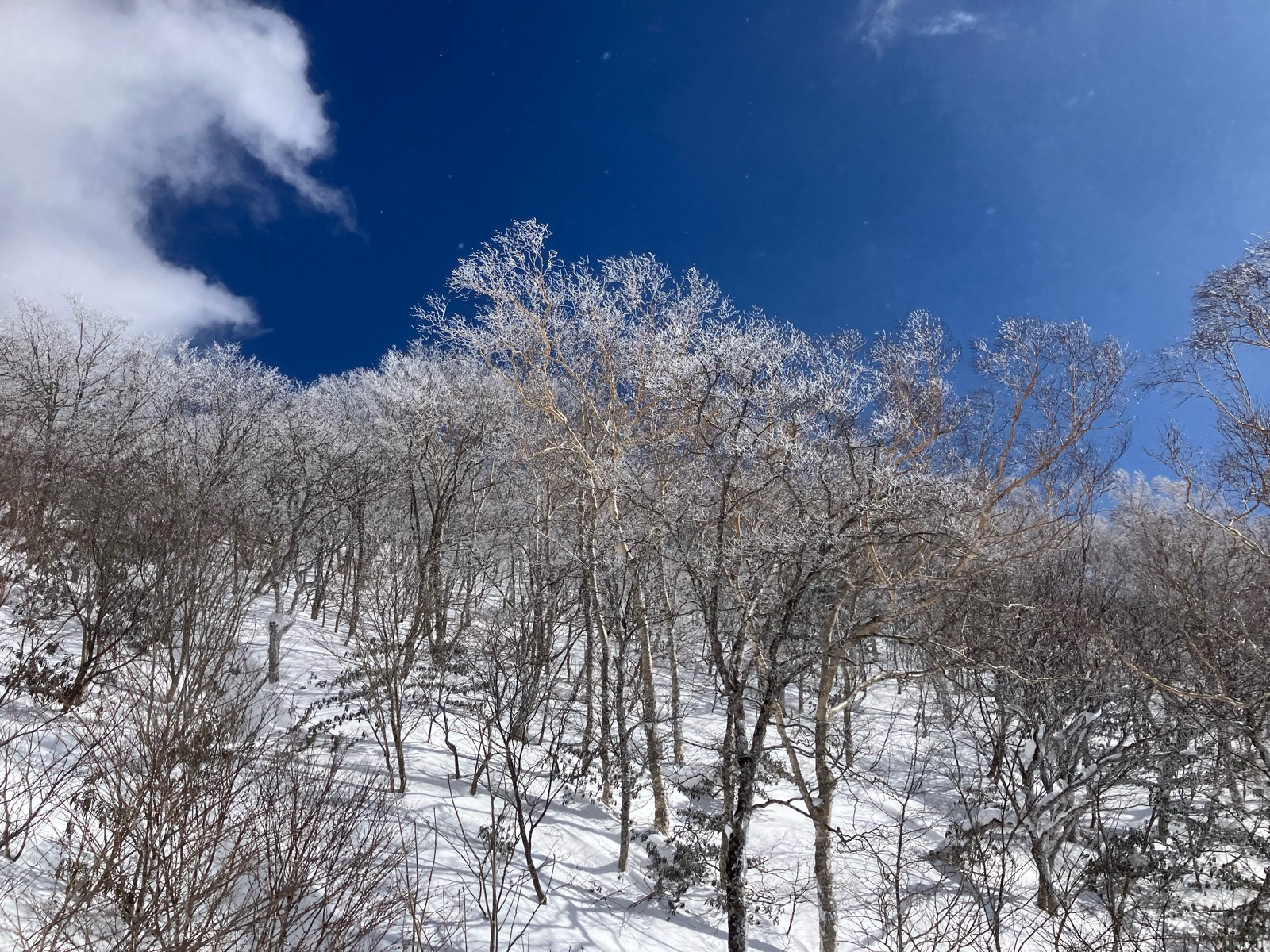 会津高原たかつえスキー場