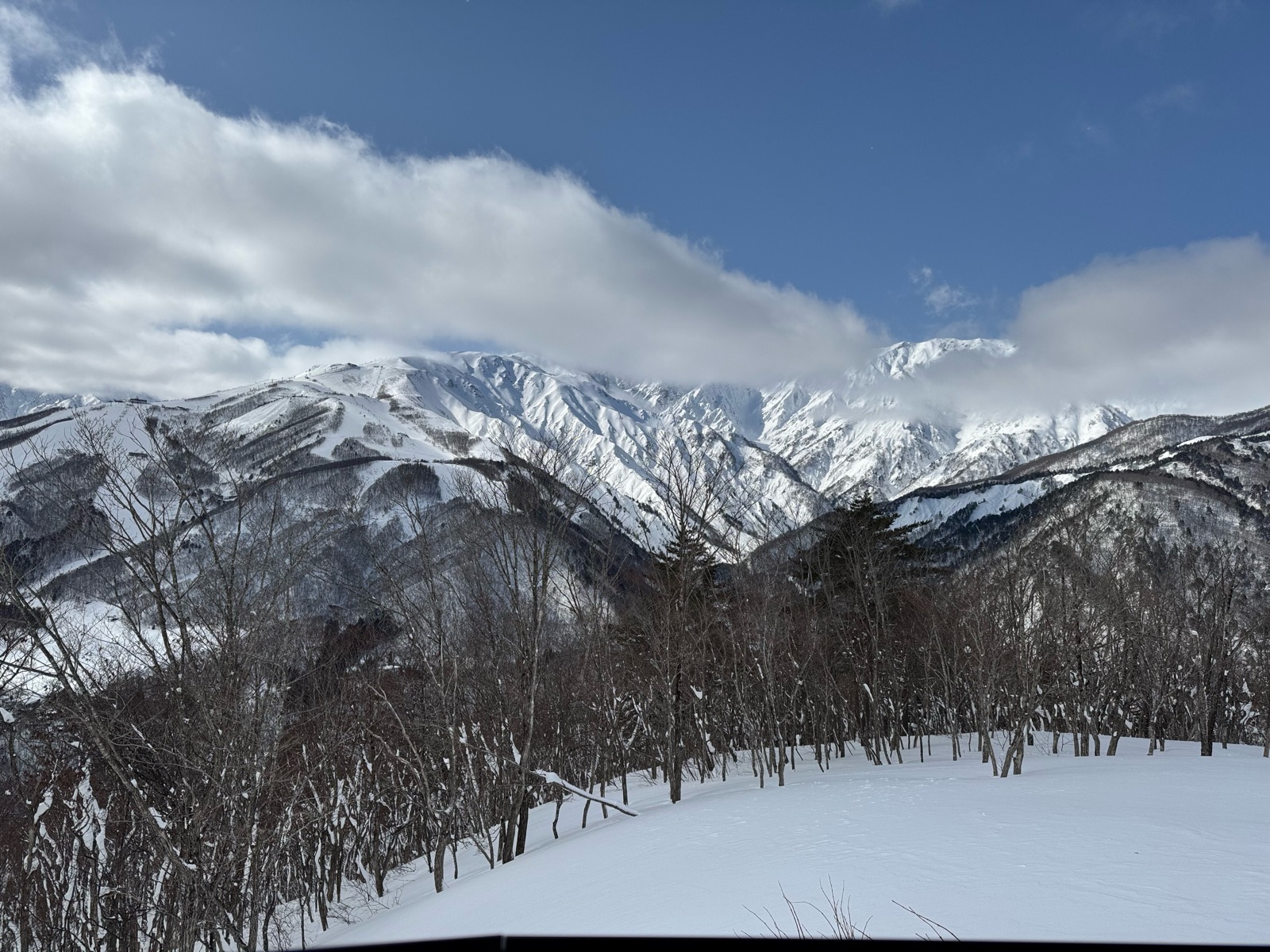 白馬岩岳スノーフィールド