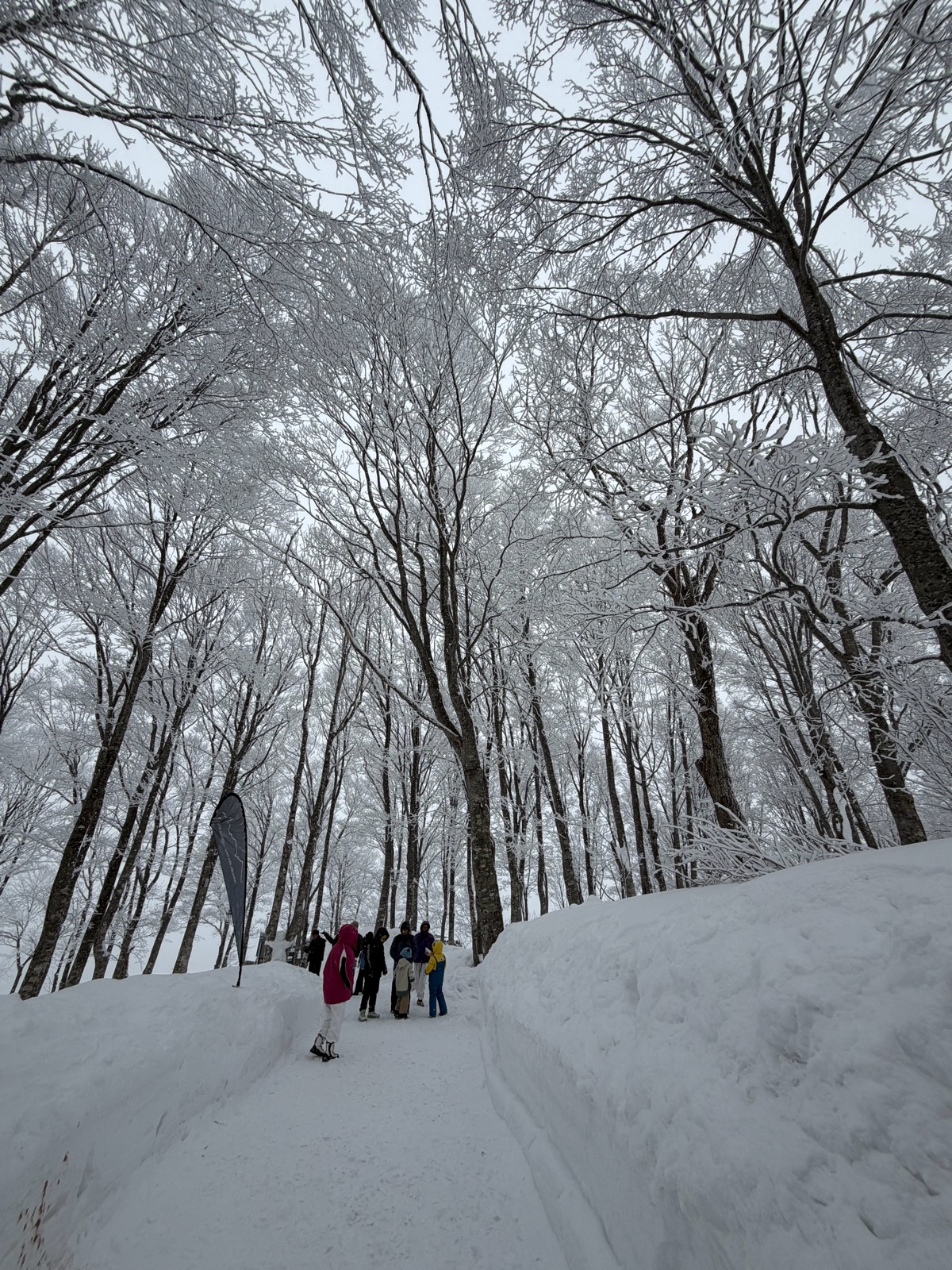 白馬岩岳スノーフィールド
