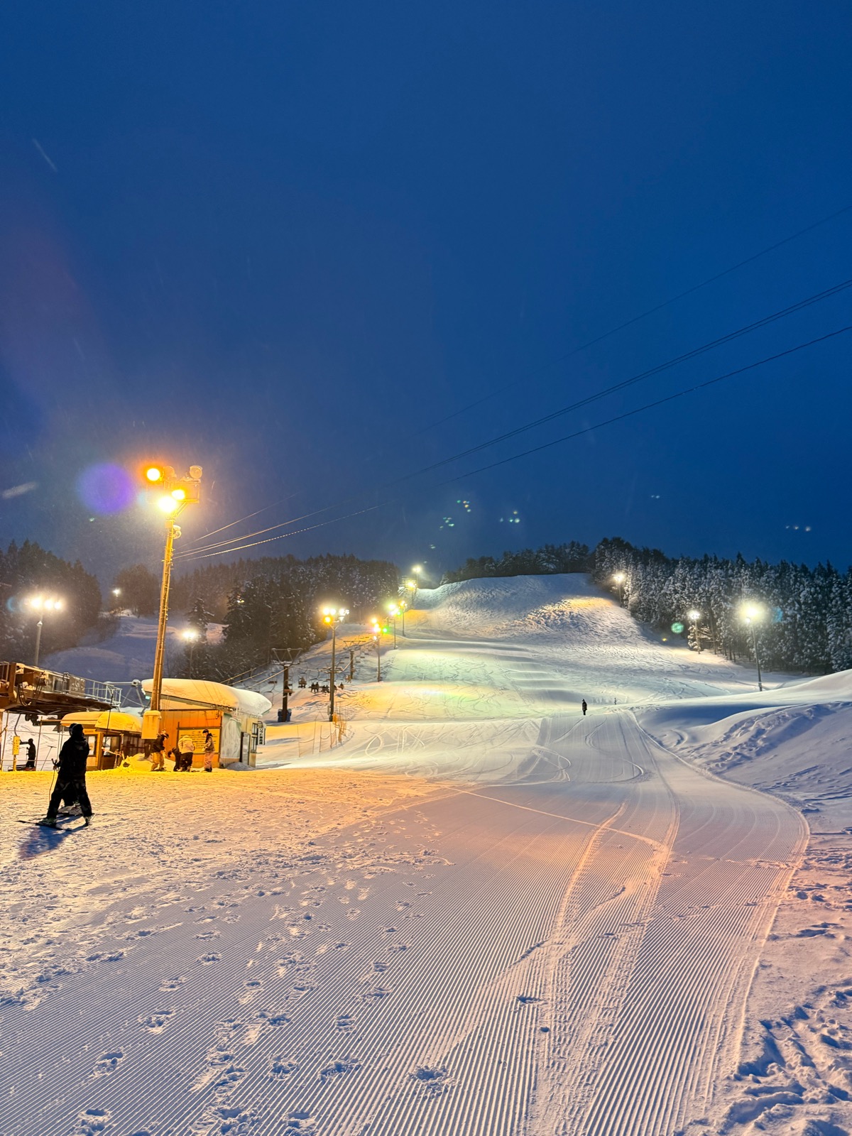 たらのきだいスキー場