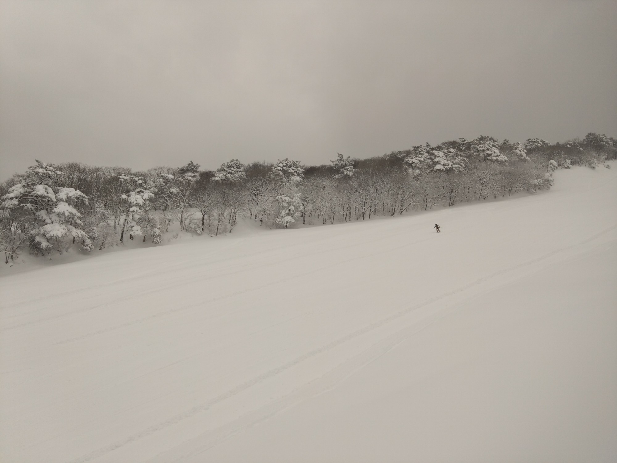 道後山高原スキー場