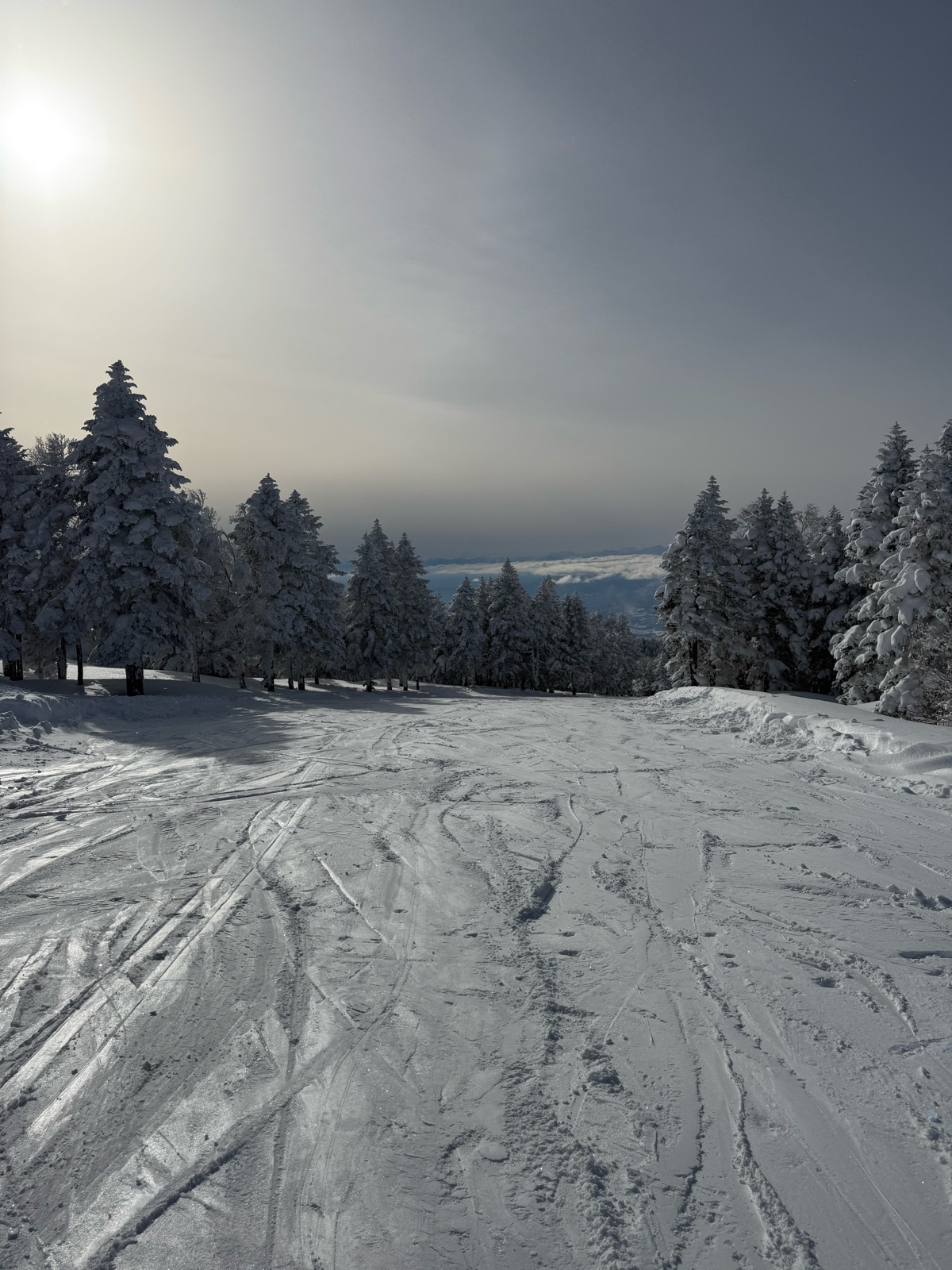竜王スキーパーク
