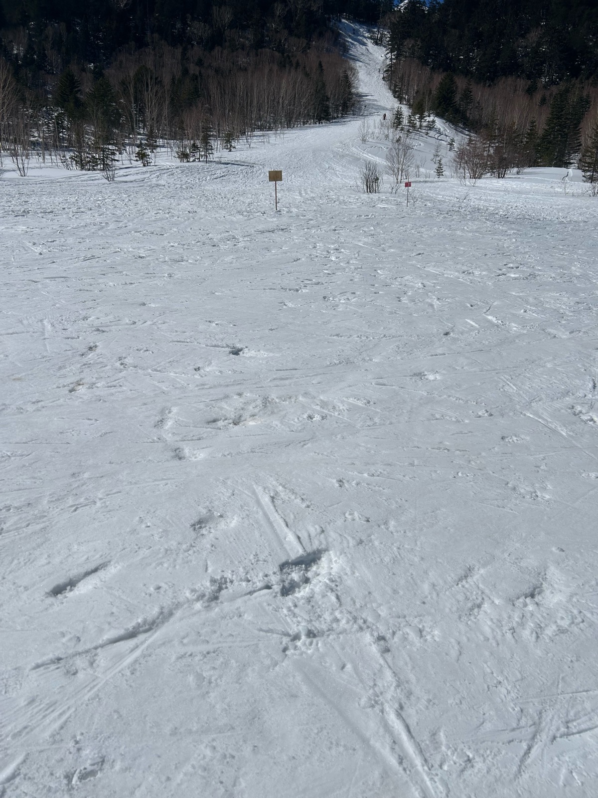 Mt.乗鞍スノーリゾート