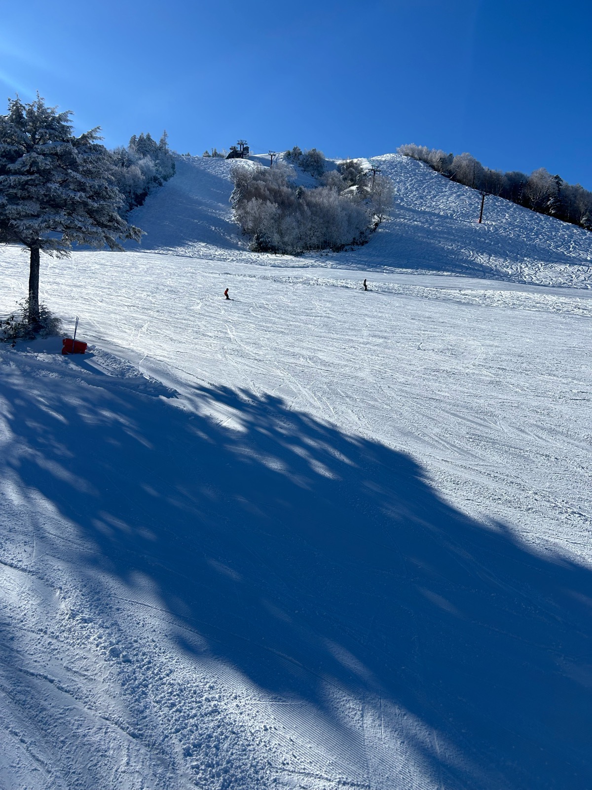志賀高原 熊の湯