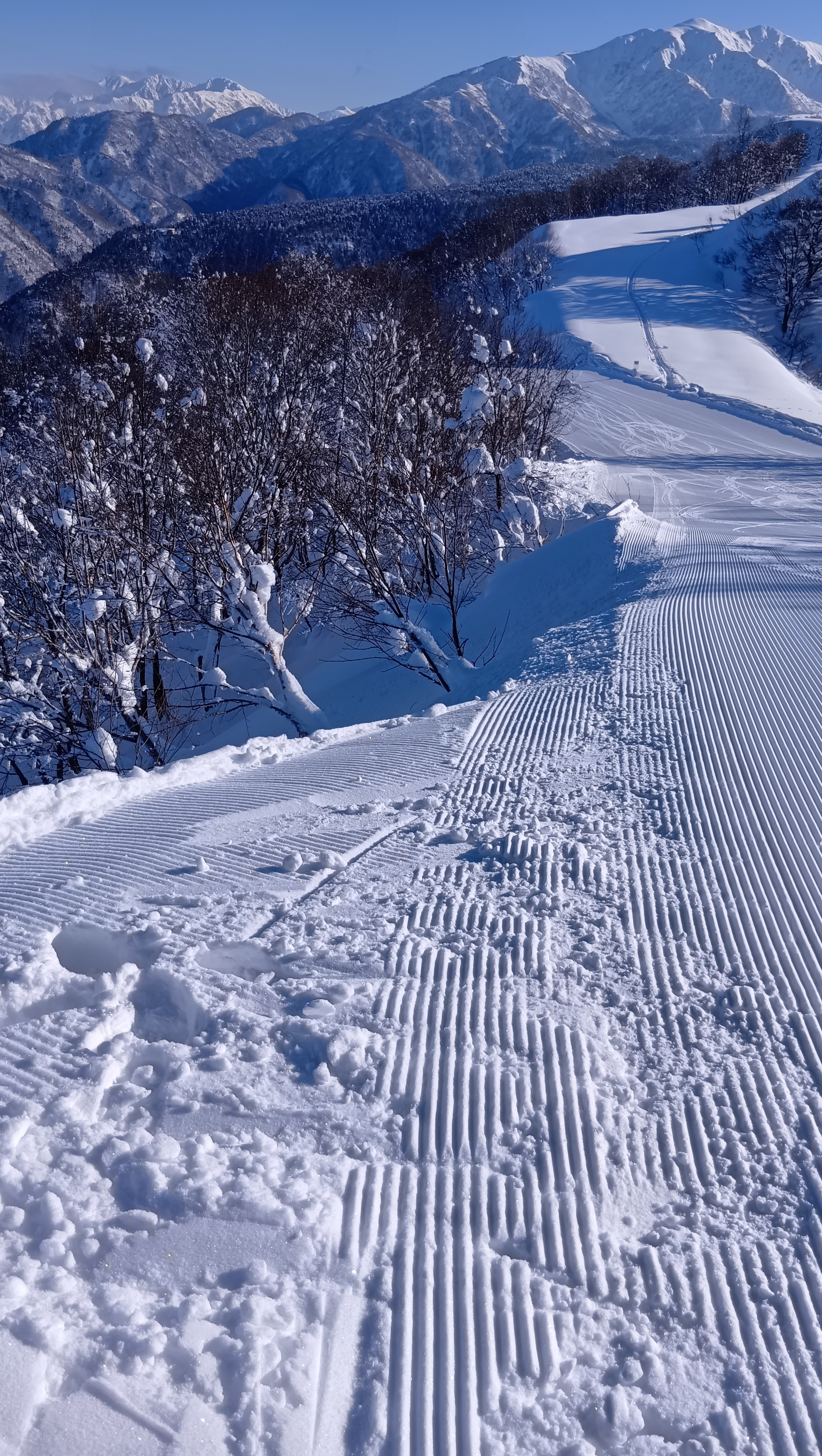 立山山麓らいちょうバレー