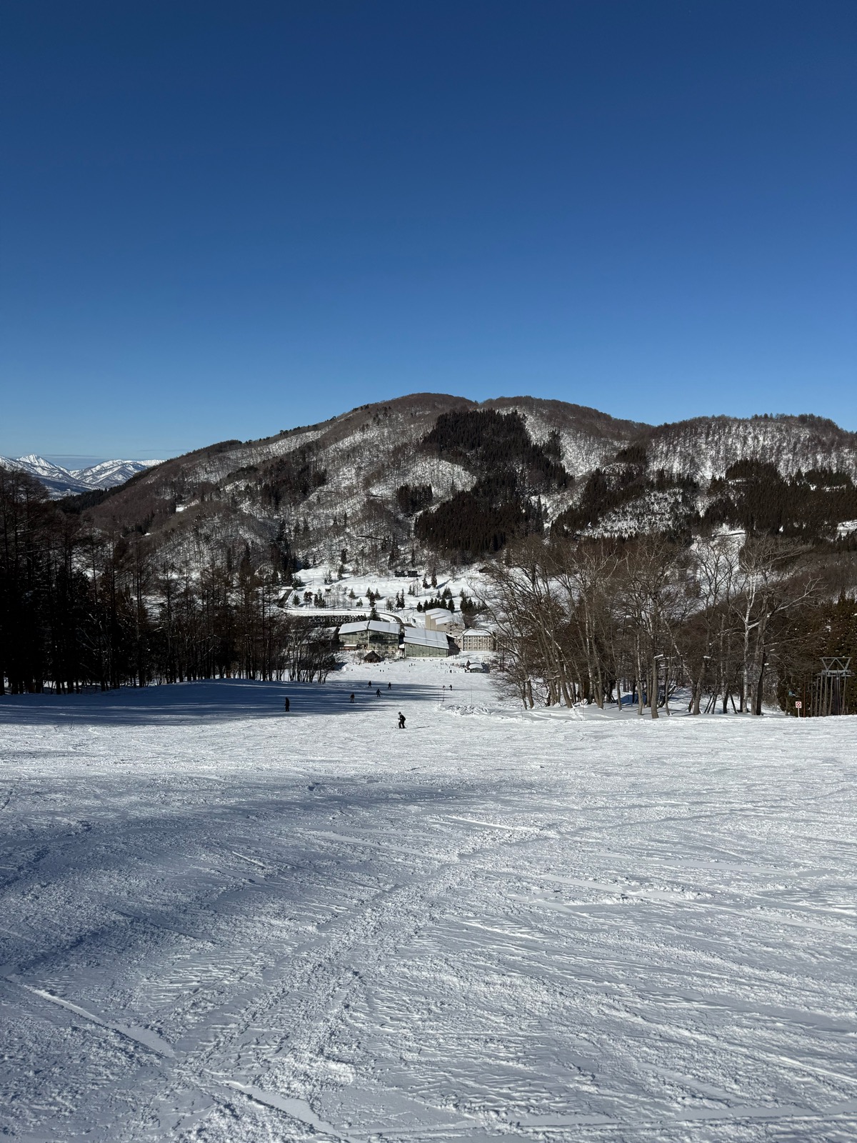 タングラムスキーサーカス