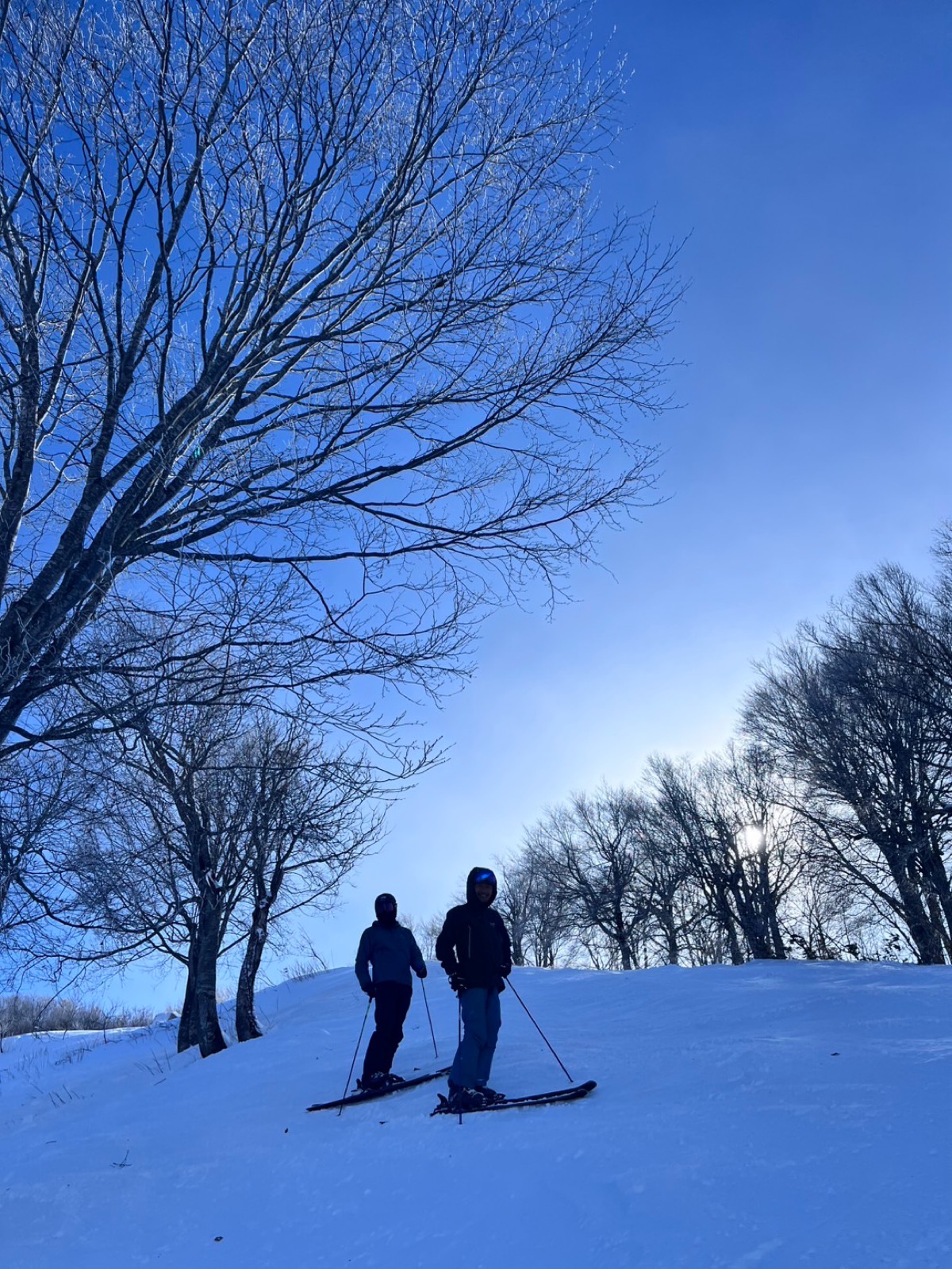 タングラムスキーサーカス