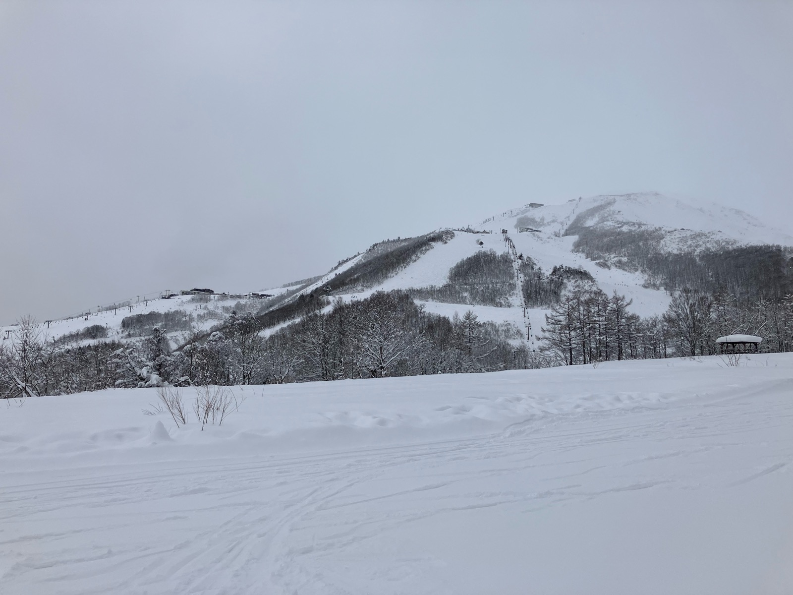 白馬八方尾根スキー場