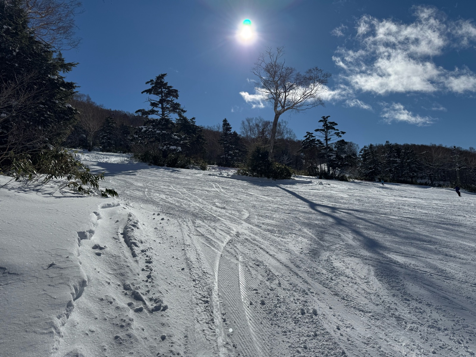 志賀高原 焼額山