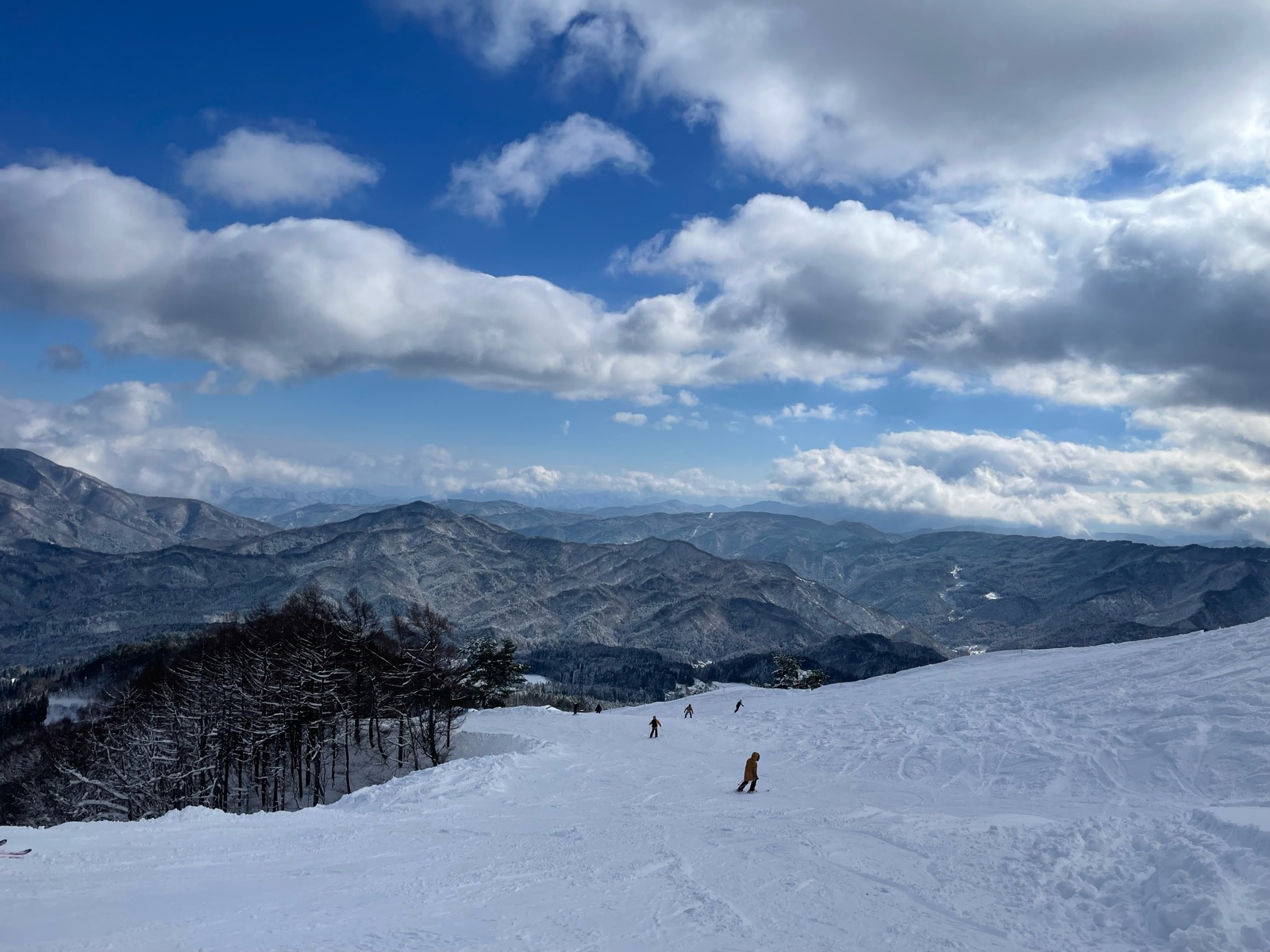スカイバレイスキー場