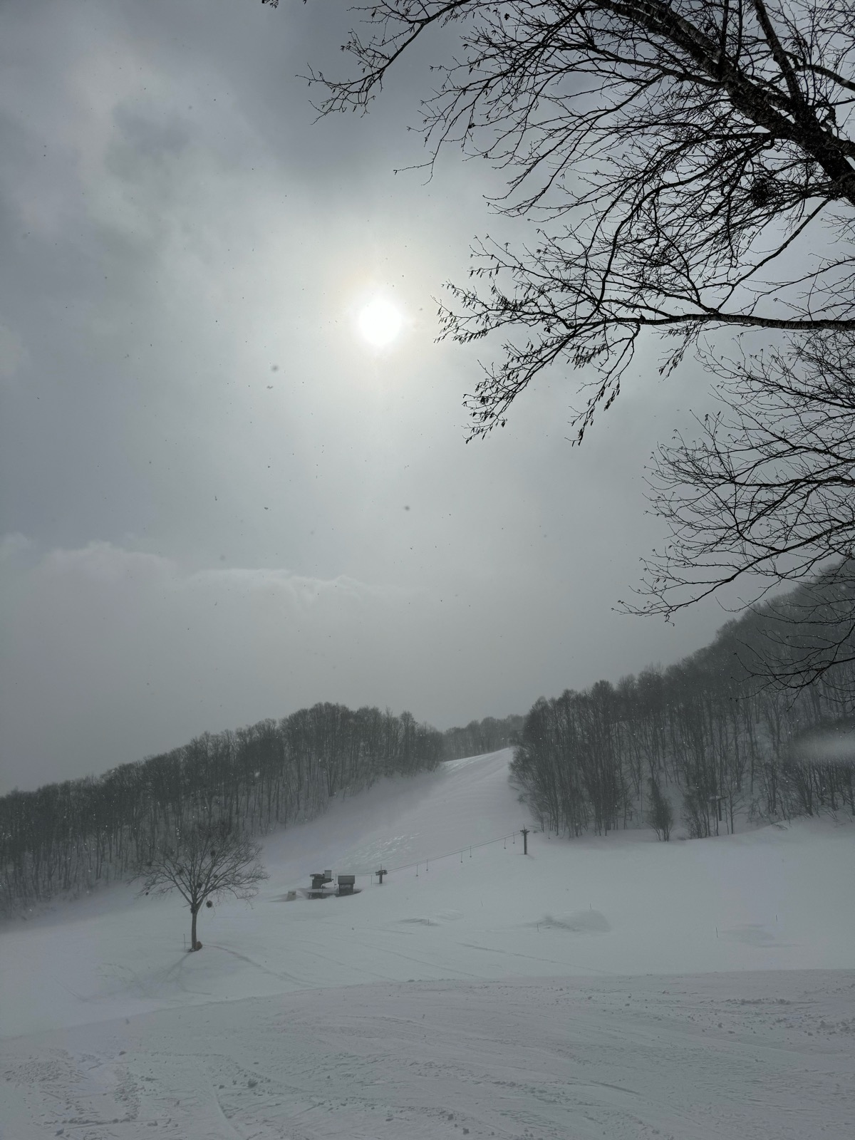 会津高原だいくら