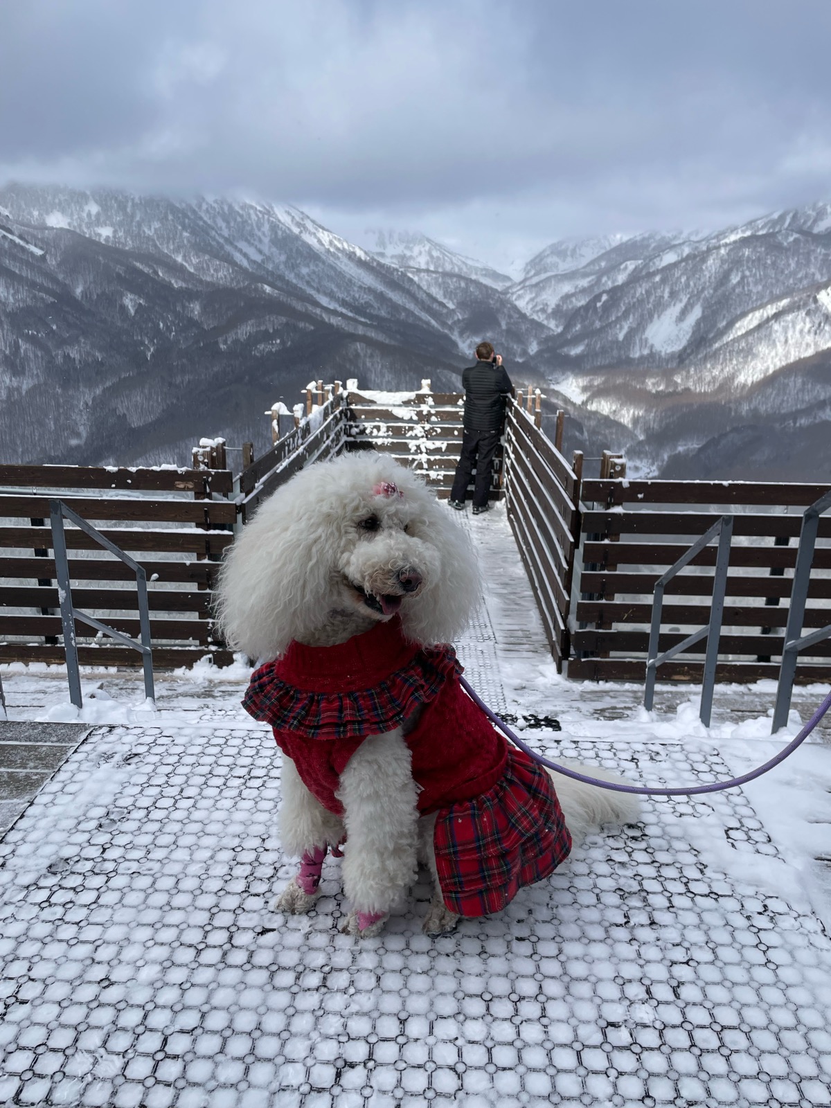 白馬岩岳スノーフィールド