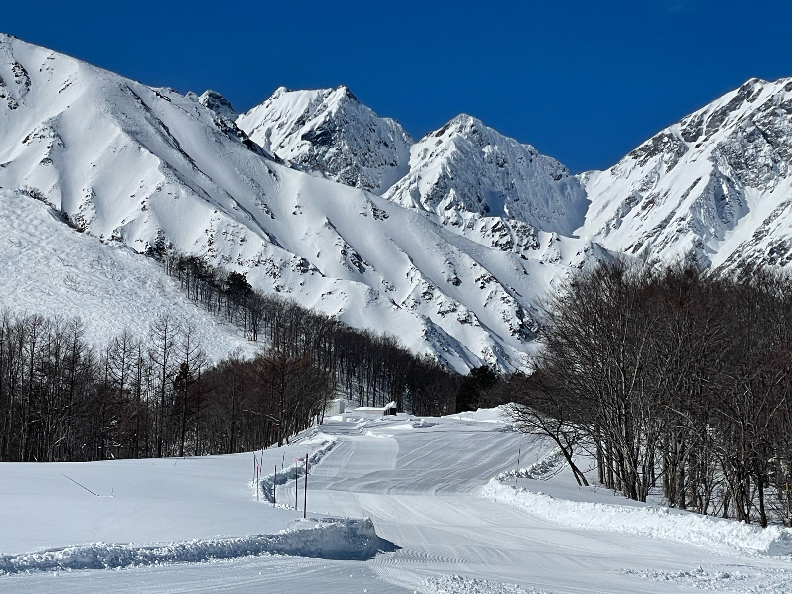 白馬八方尾根スキー場