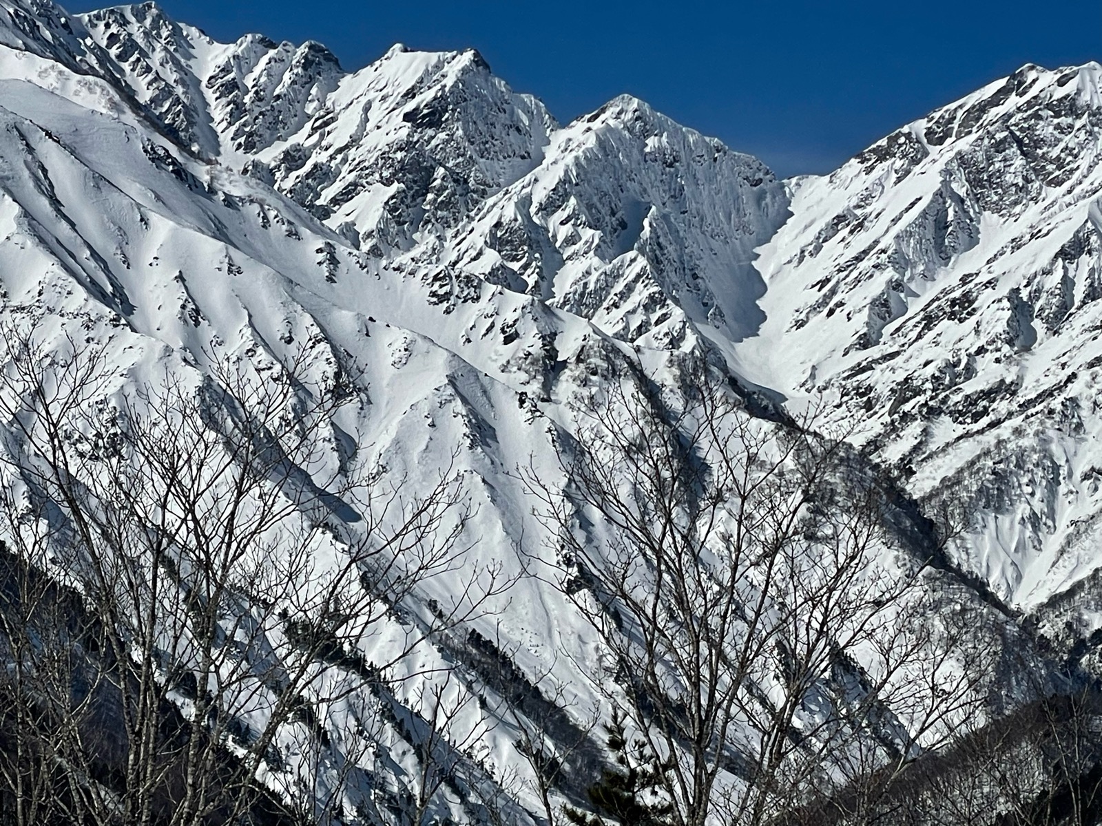 白馬岩岳スノーフィールド