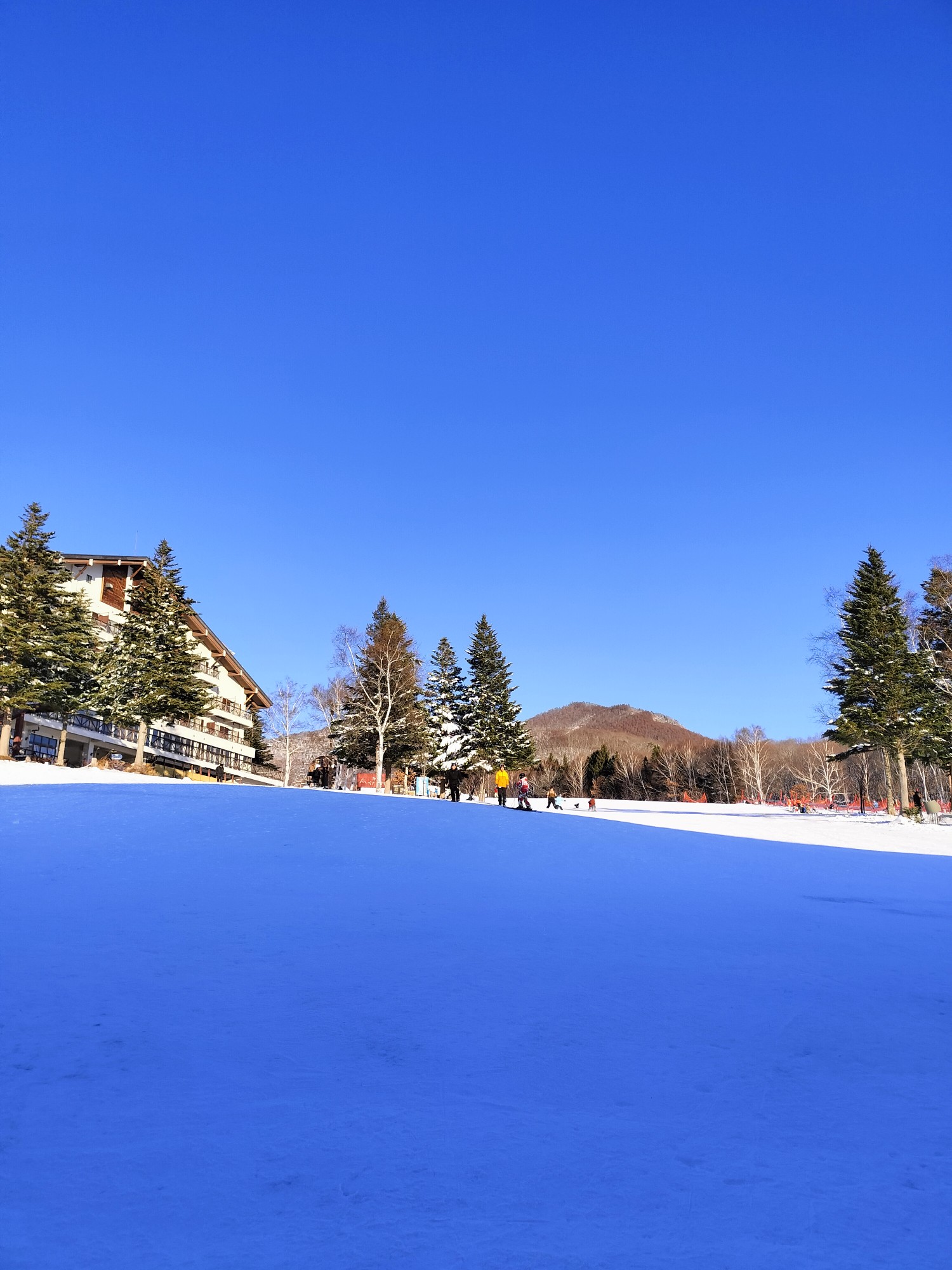 会津高原たかつえ