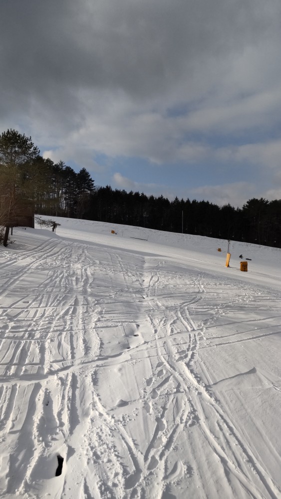 ユートピアサイオト