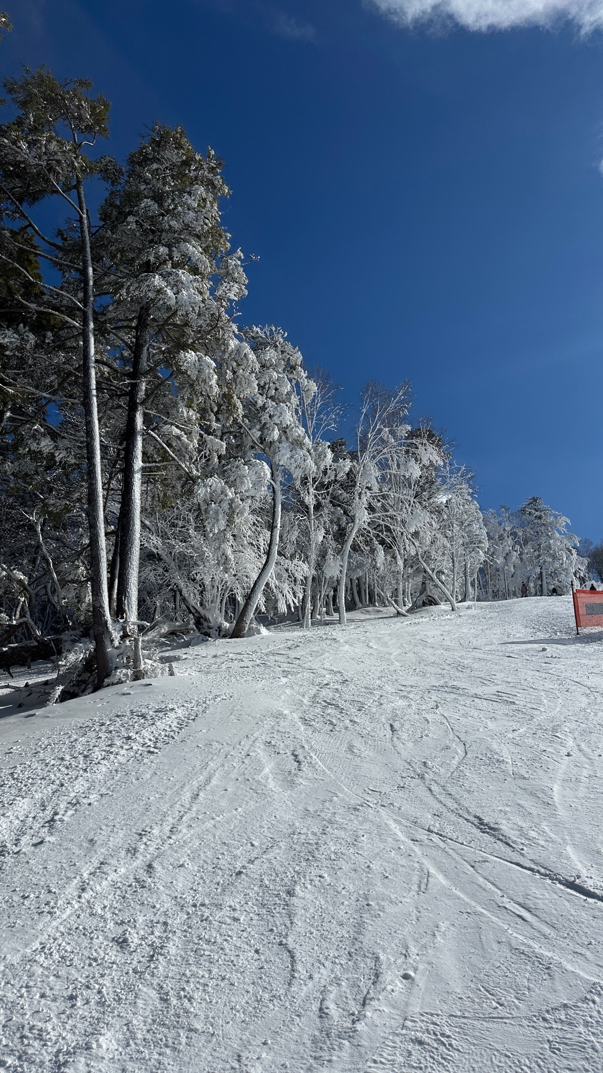 ハンターマウンテン塩原