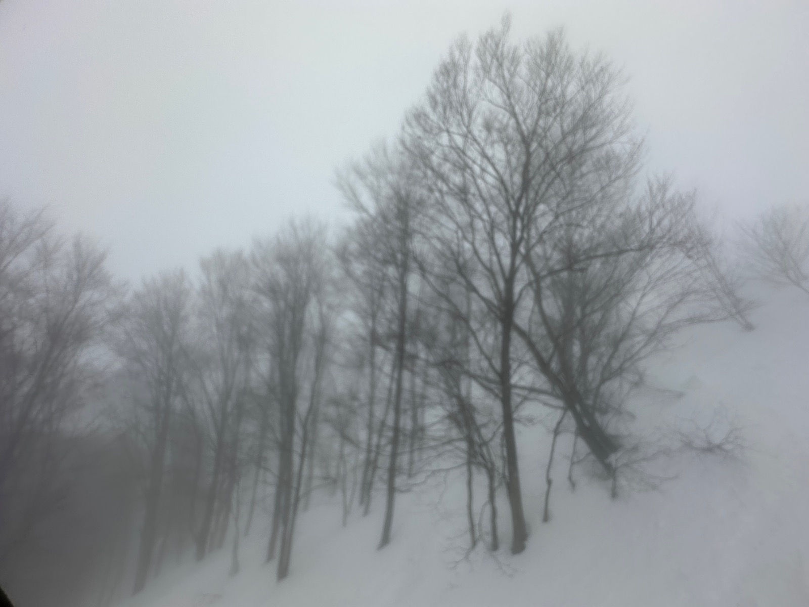 神立スノーリゾート