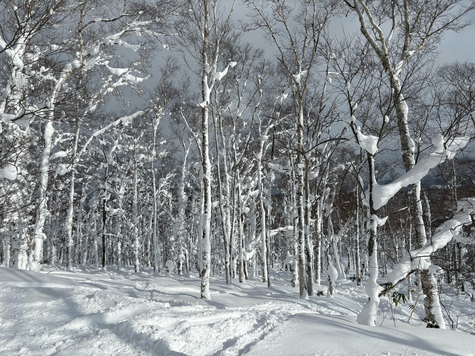 ルスツリゾート