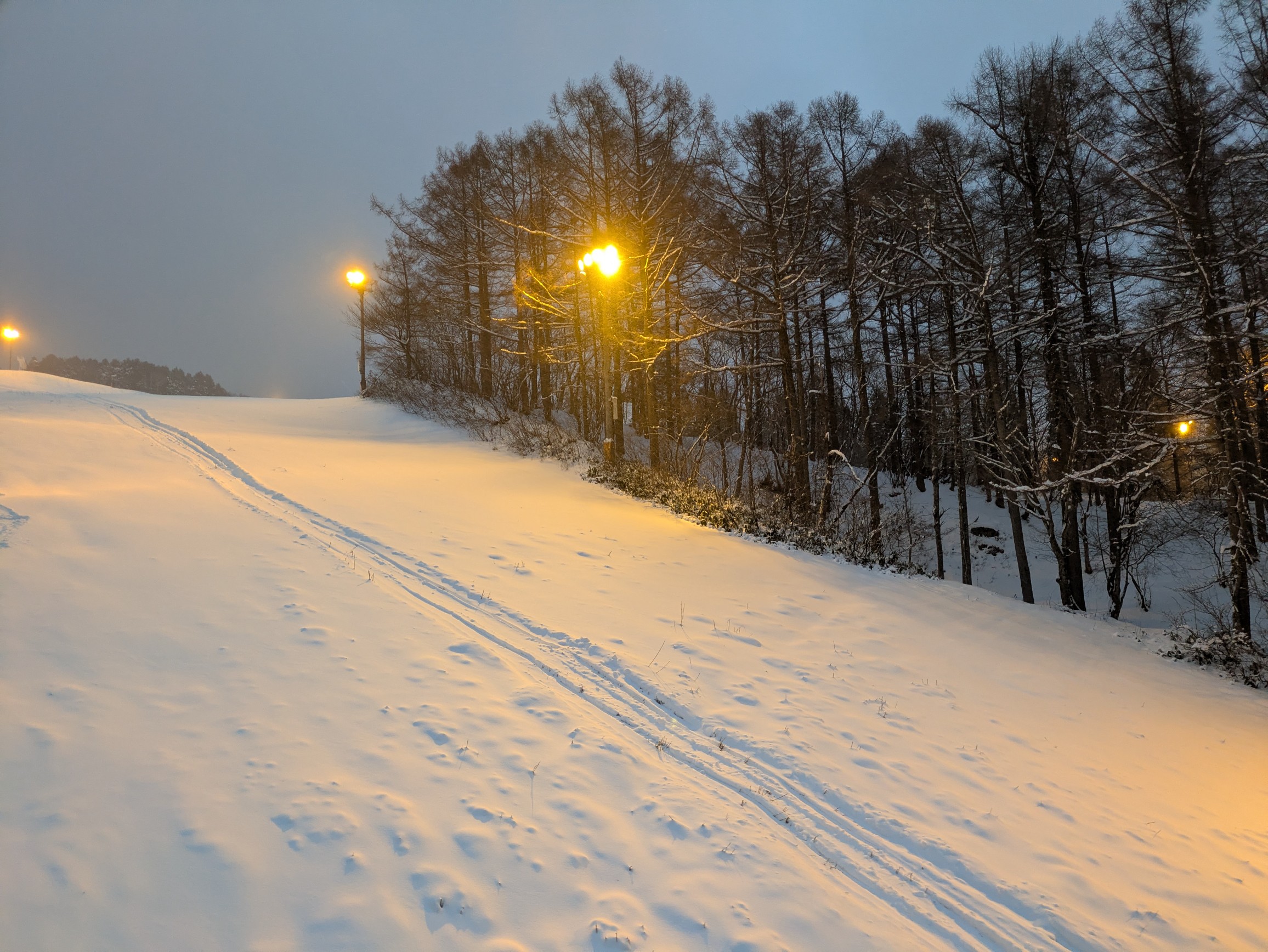 鷲ヶ岳スキー場