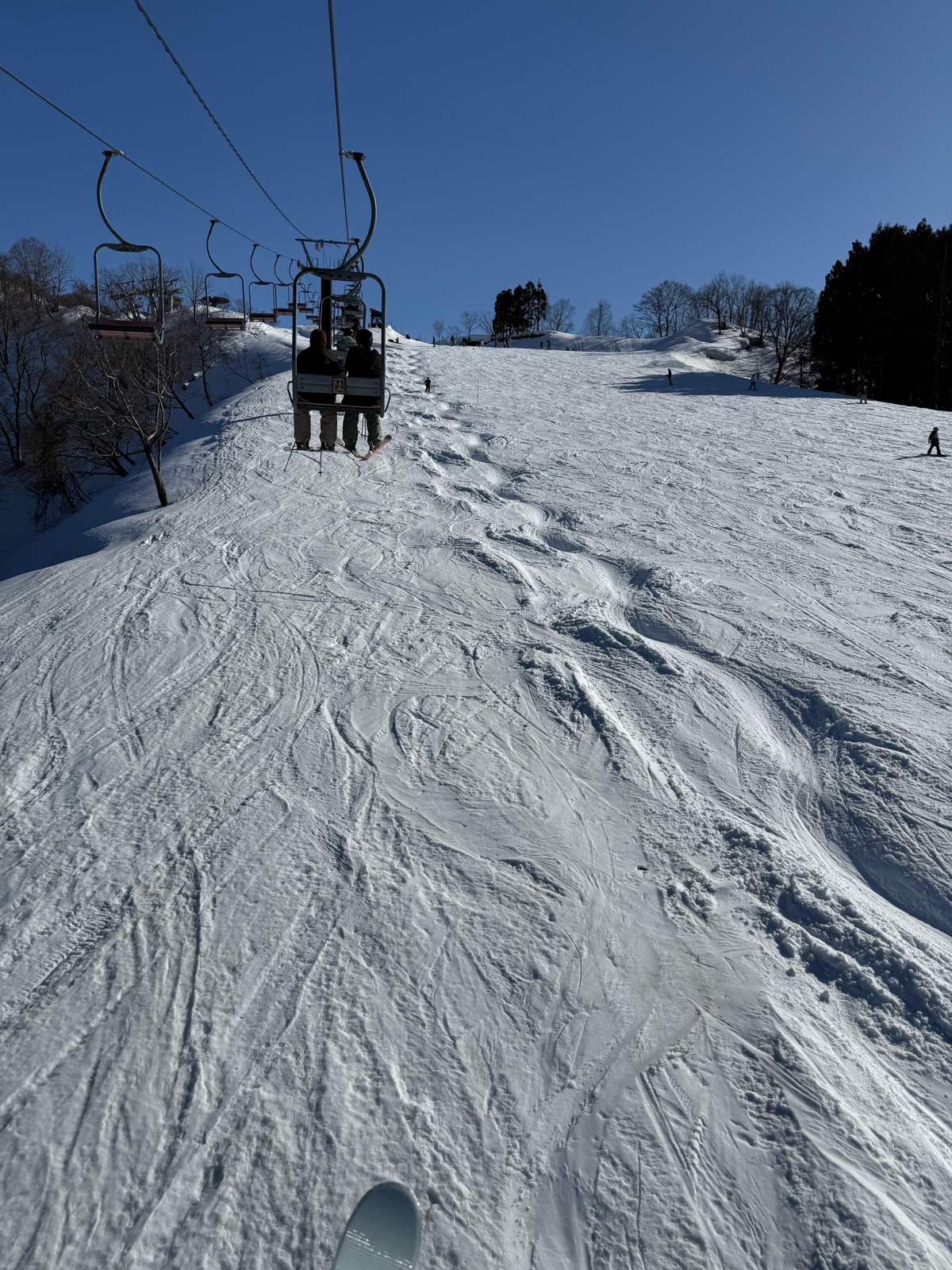 白山一里野温泉スキー場